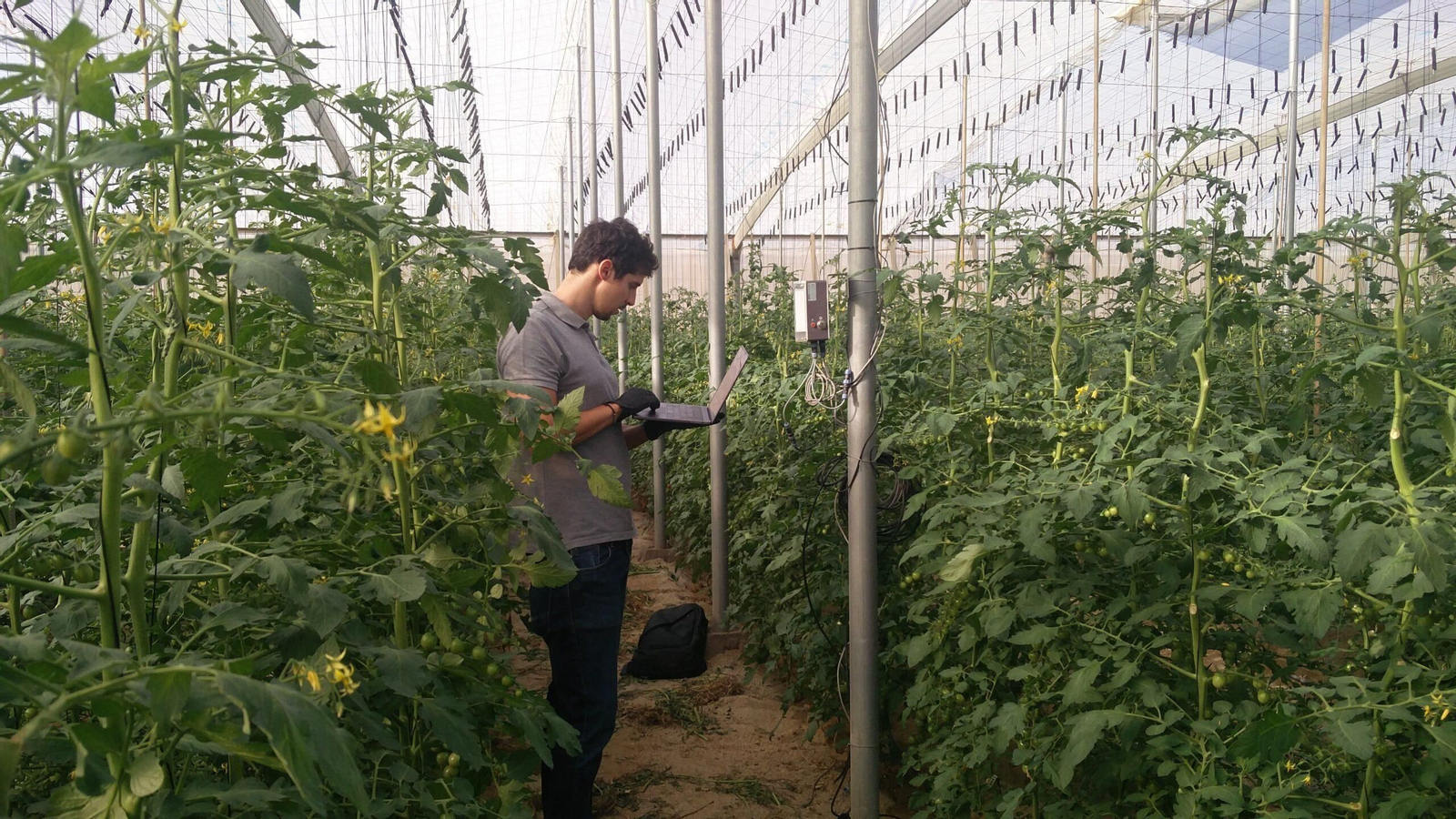 El investigador Manuel Muñoz en el invernadero