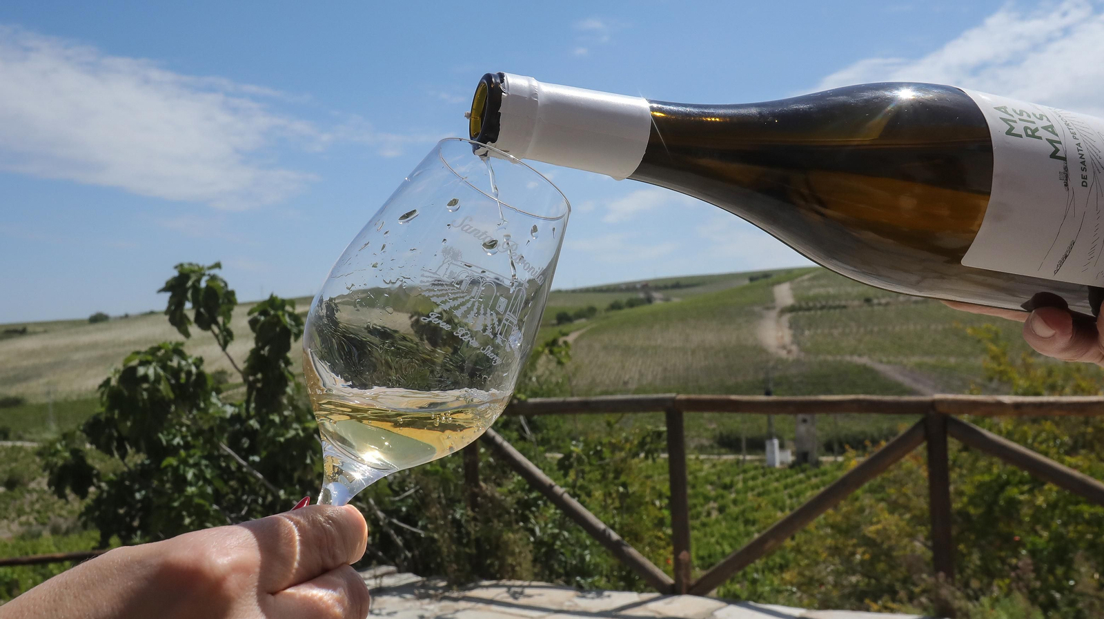 Cata vertical en Santa Petronila