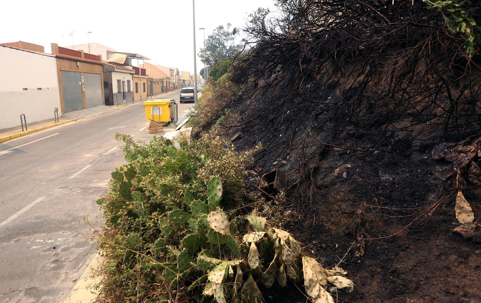 Las consecuencias del incendio en Mazagón