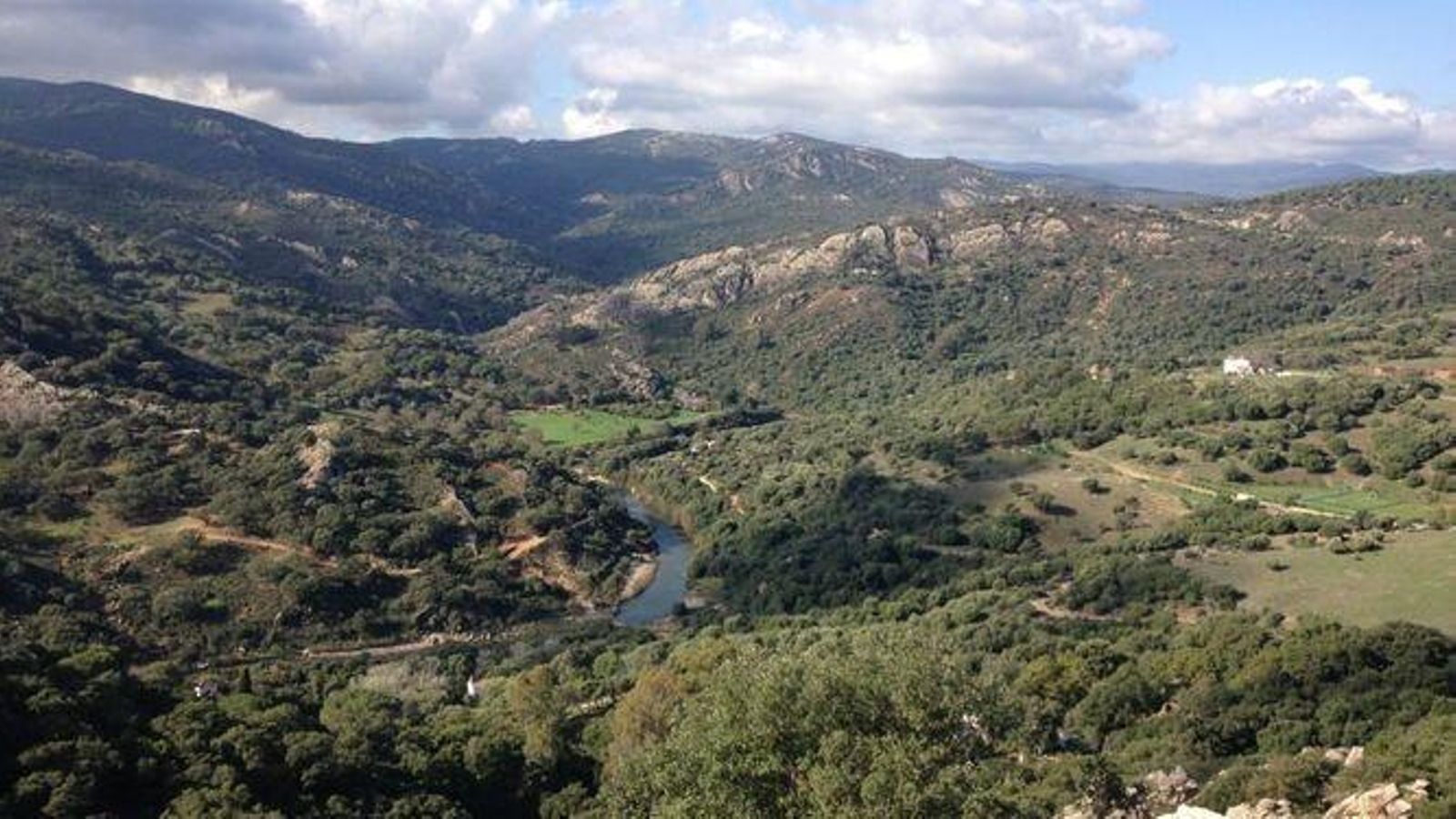 Parque Natural de Los Alcornocales.