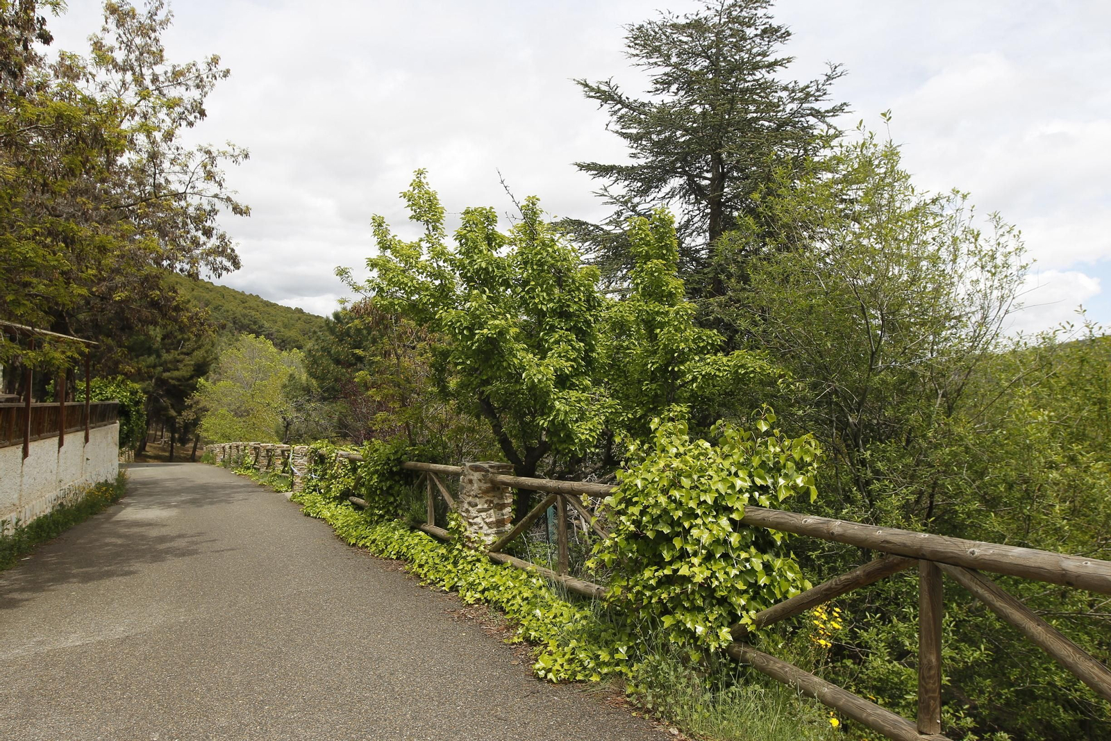 Naturaleza desconfinada. La Roza (Abrucena)