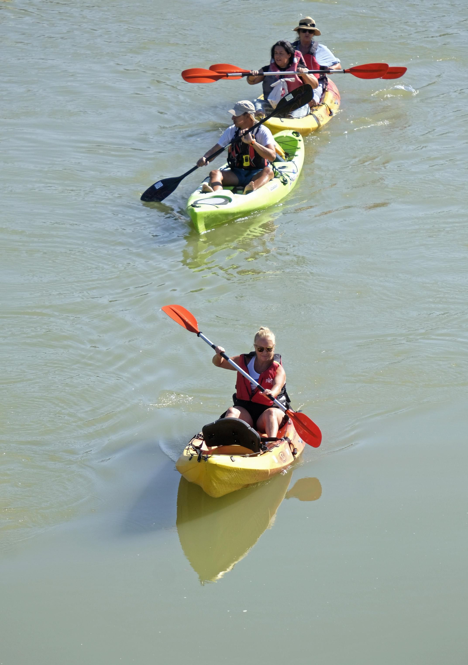 La ruta en kayak por el Guadalquivir de Córdoba se echa al agua, en imágenes