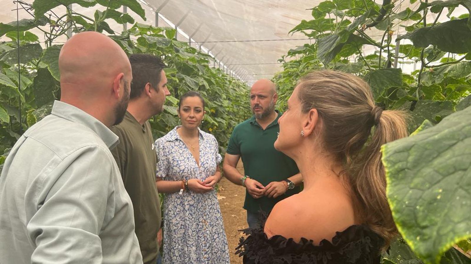 Rodrigo Alonso (al fondo), durante una visita, ayer, al Poniente.