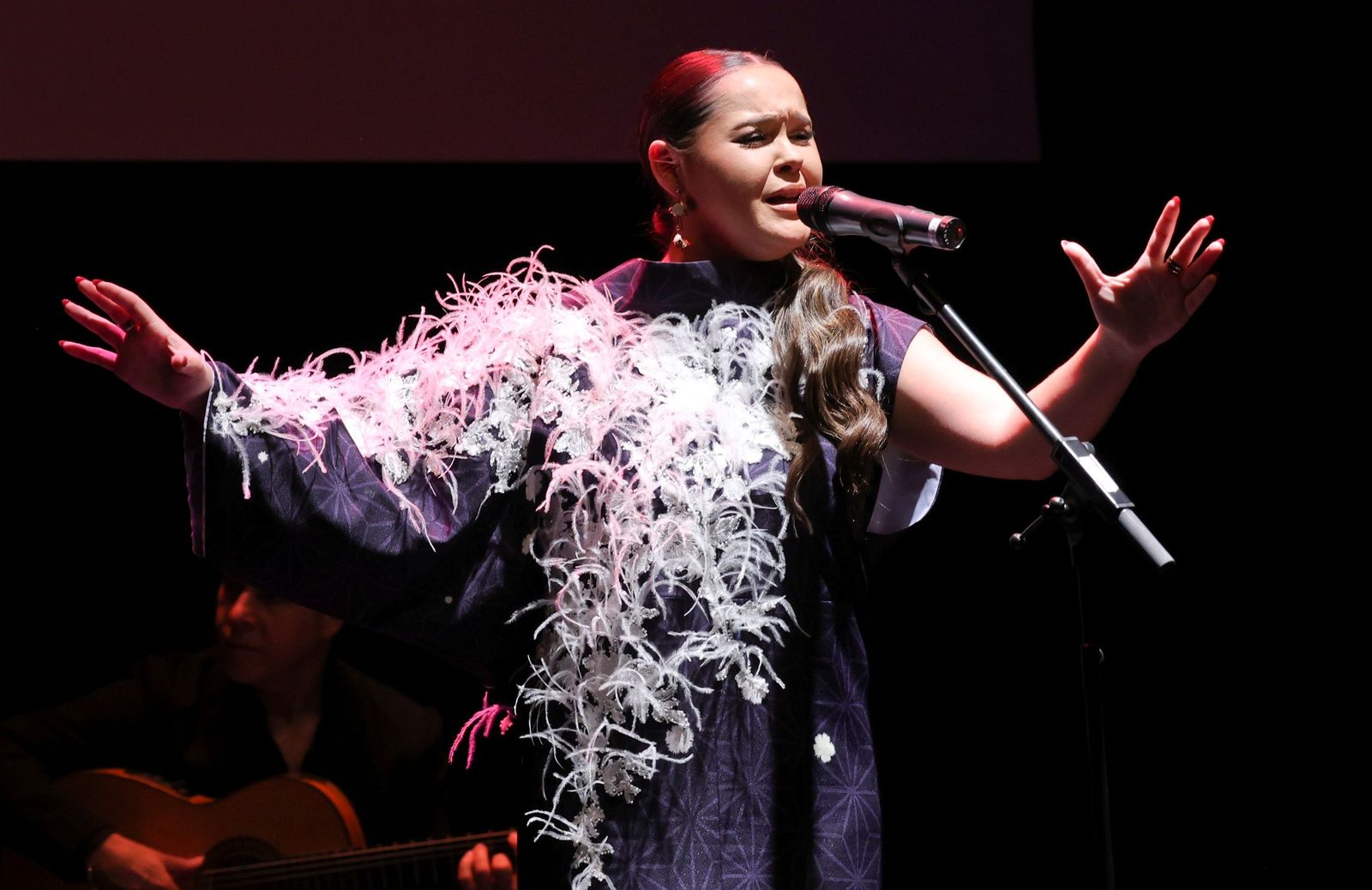La cantante Ana Romma interpreta "Ojos del niño Pablo"