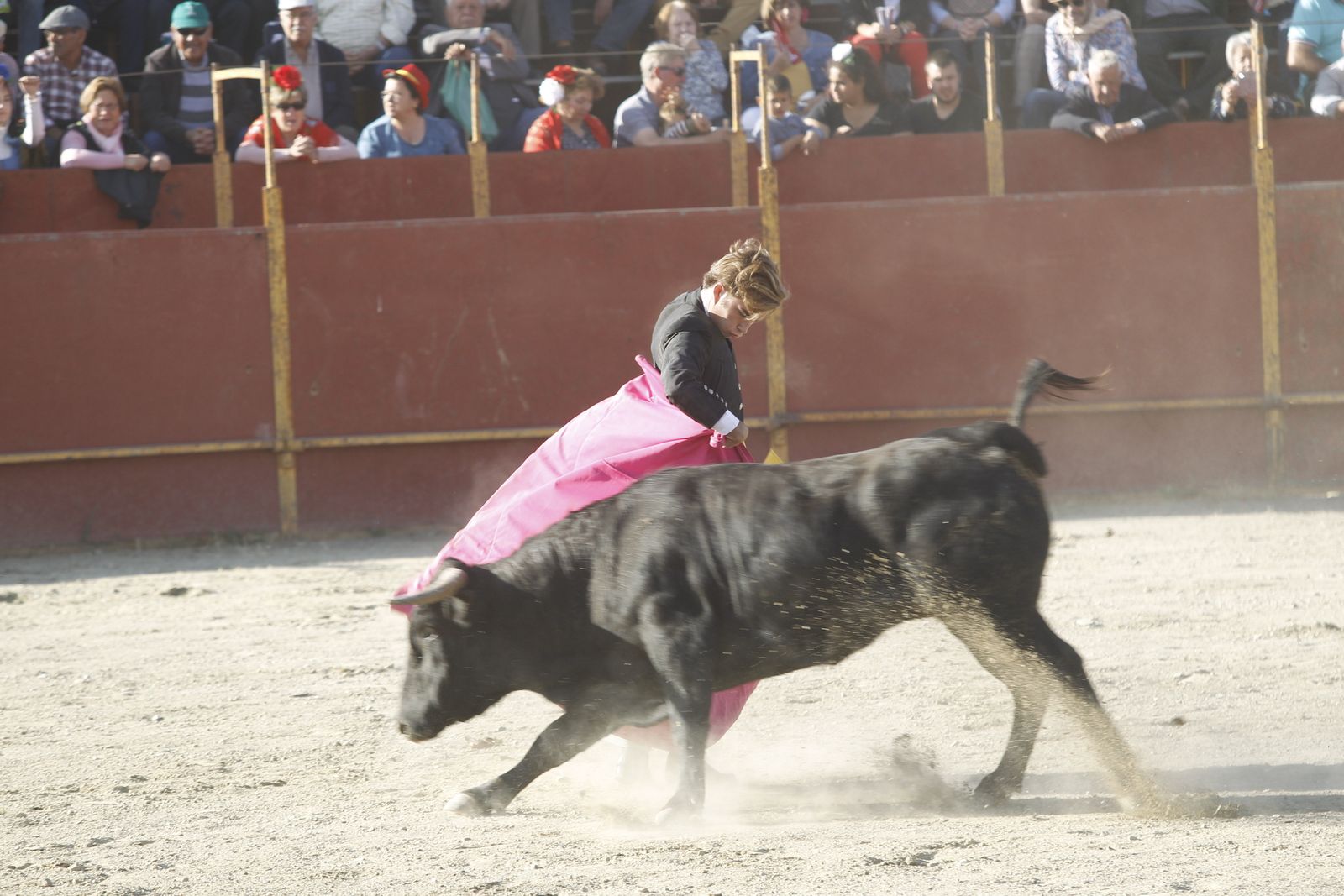 Fotogalería Festival Taurino Mixto. Fiestas de Abrucena.