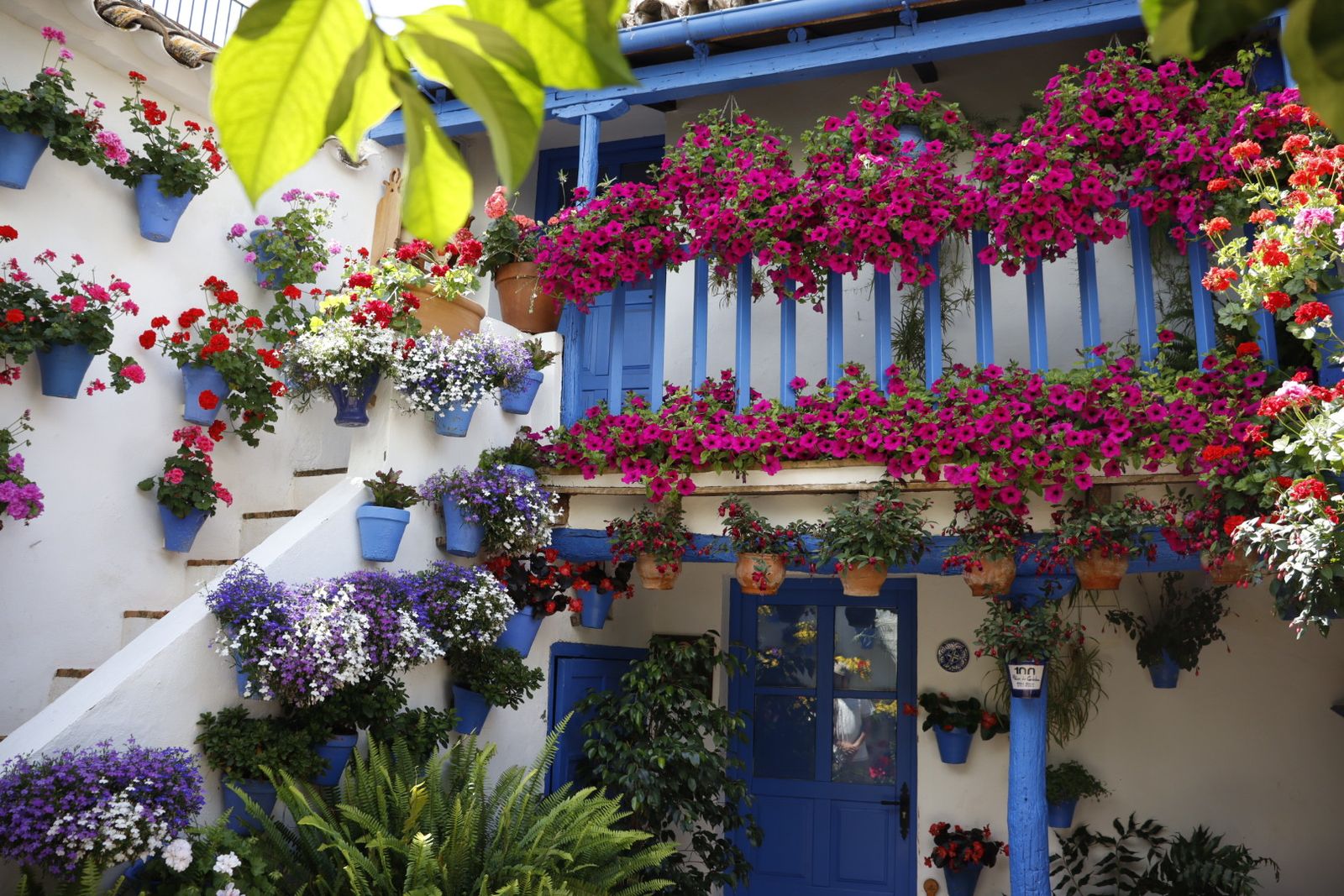 Ruta de los patios de San Lorenzo