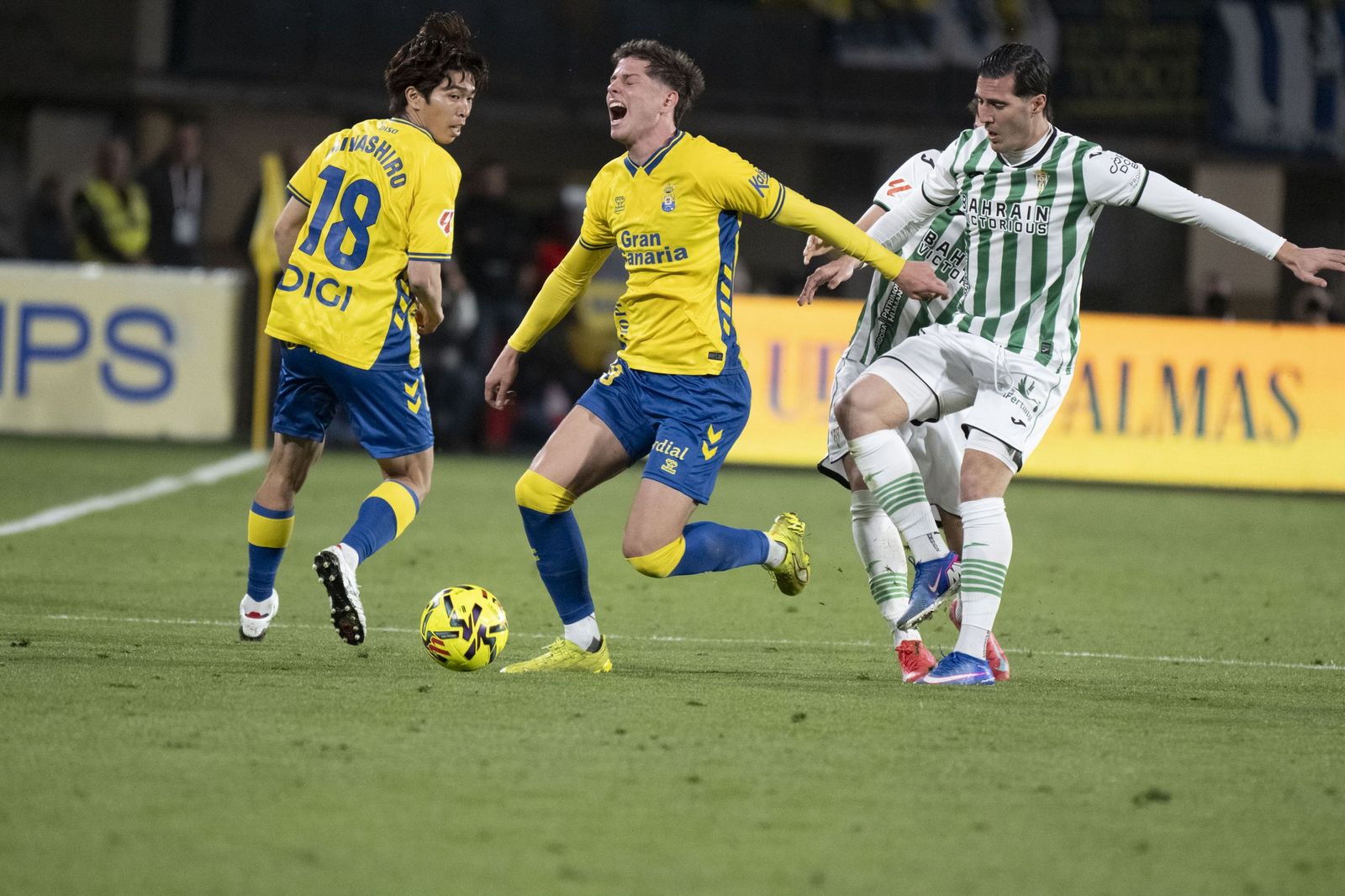 Las mejores fotos del triunfo del Córdoba CF ante Las Palmas