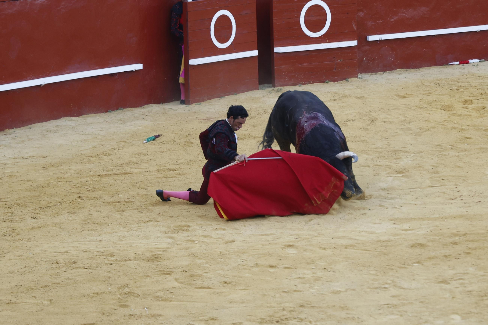 Las fotos de la corrida de toros de la Feria de San Roque