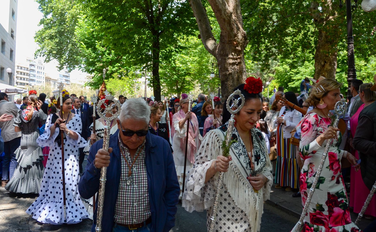 La salida de la Hermandad del Rocío de Granada, en imágenes