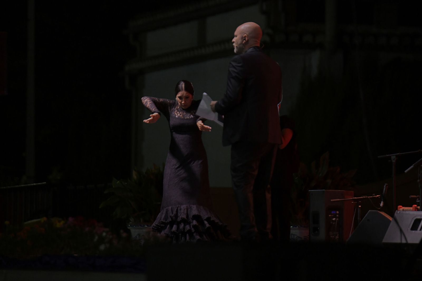Ogíjares celebra su Festival Nacional de Cante Flamenco