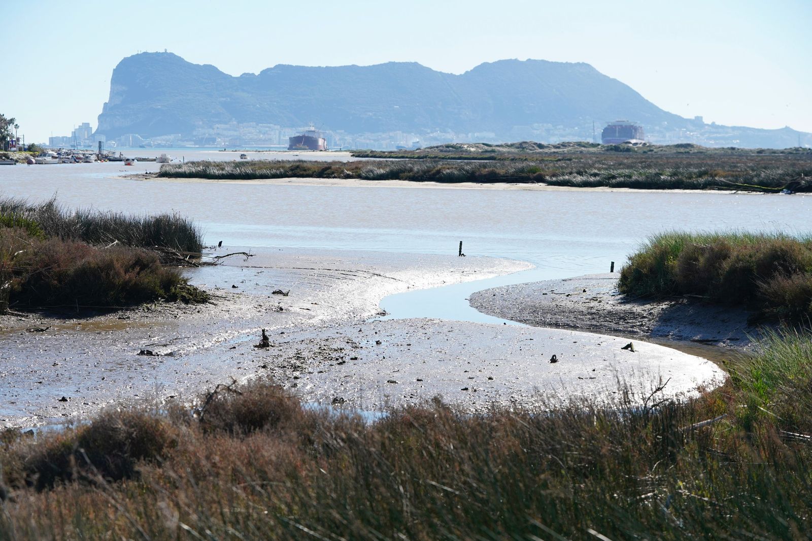 Fotos de la contaminación en el paraje natural marismas del Río Palmones