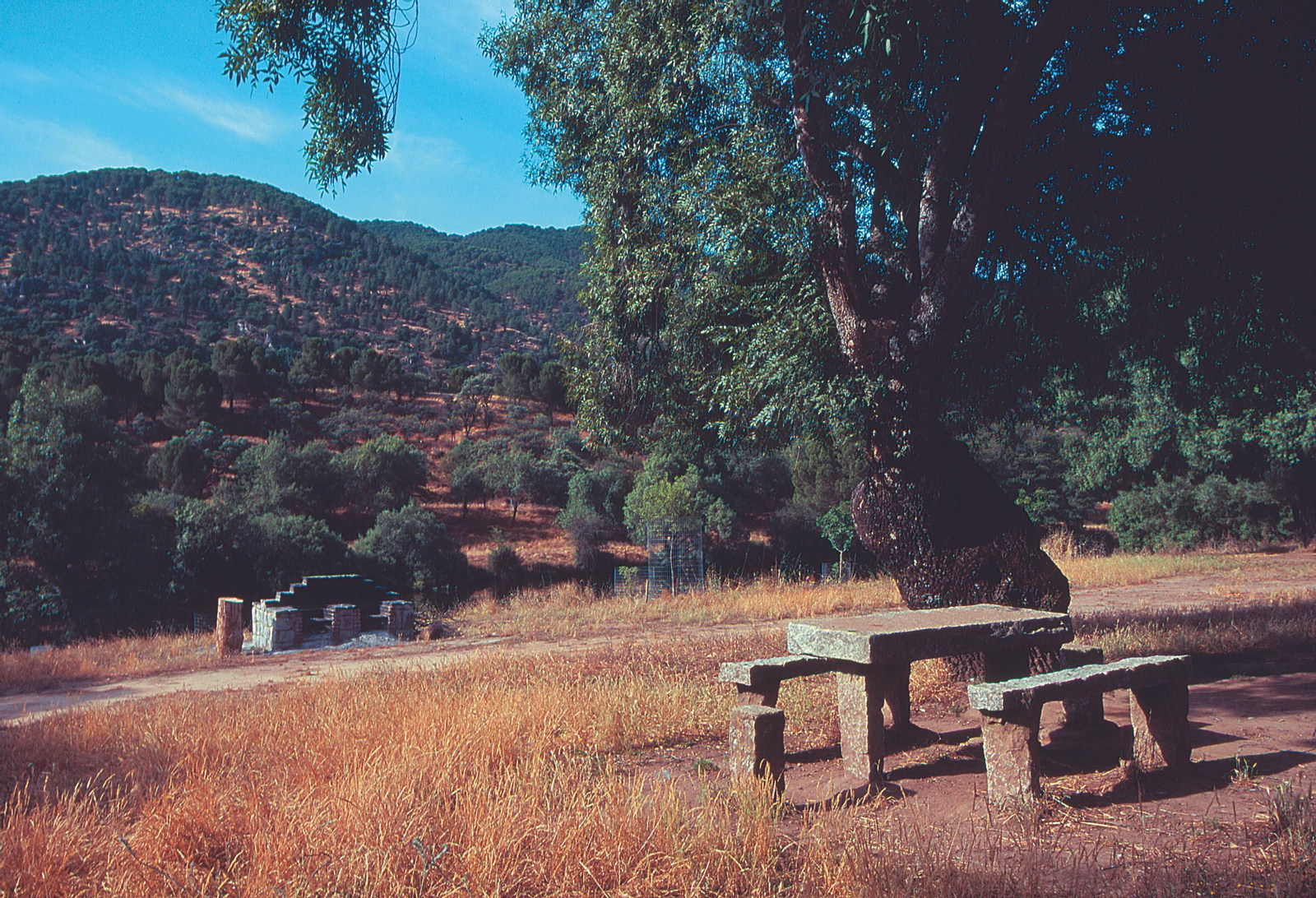 En algunas zonas encontrarás merenderos para disfrutar de una jornada al aire libre.