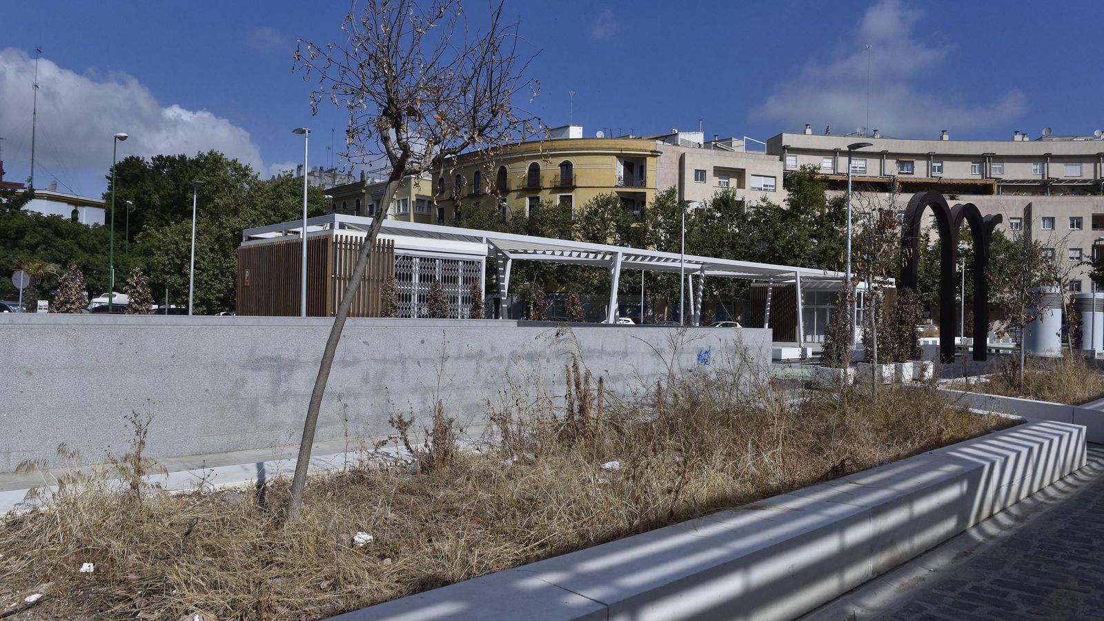Más sequedad en árboles y parterres de la plaza.
