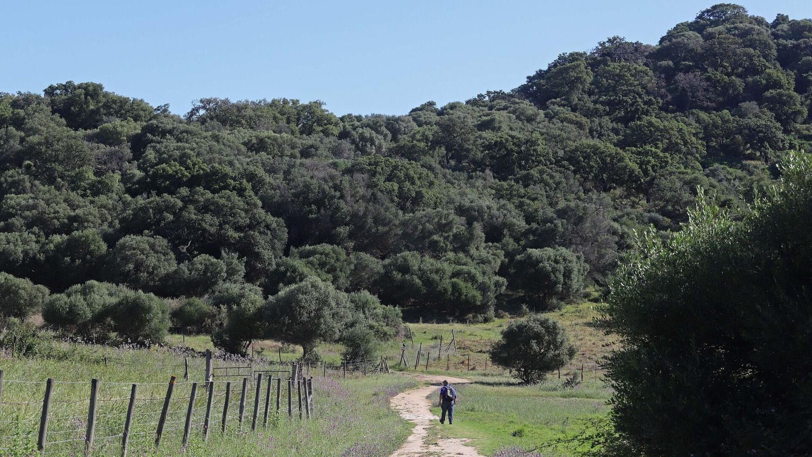 Sendero hacia el Monte de la Torre