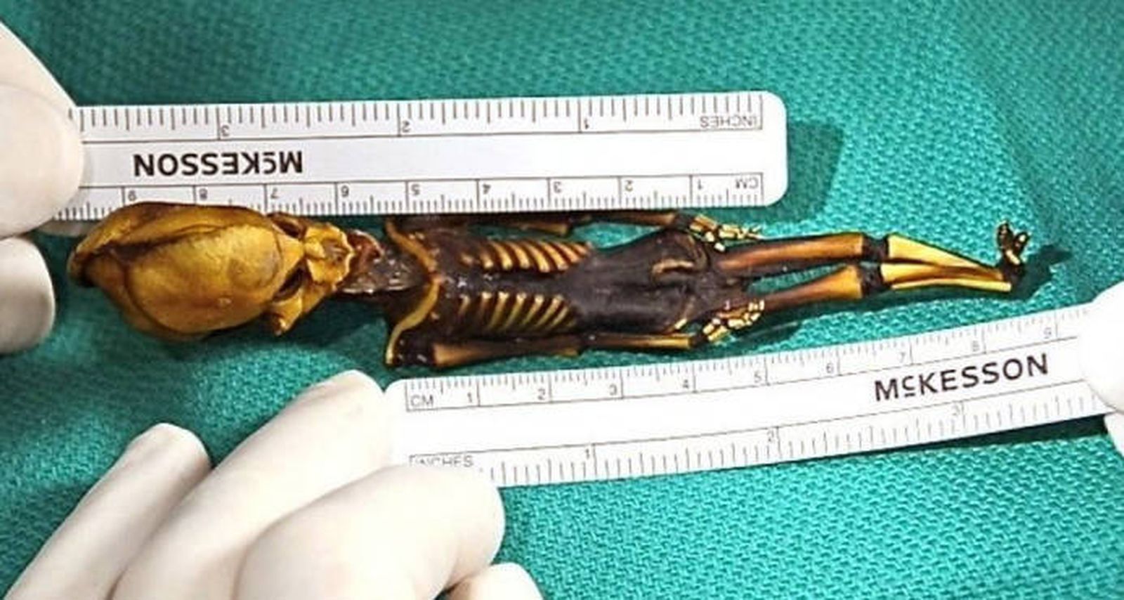 El esqueleto hallado en Atacama