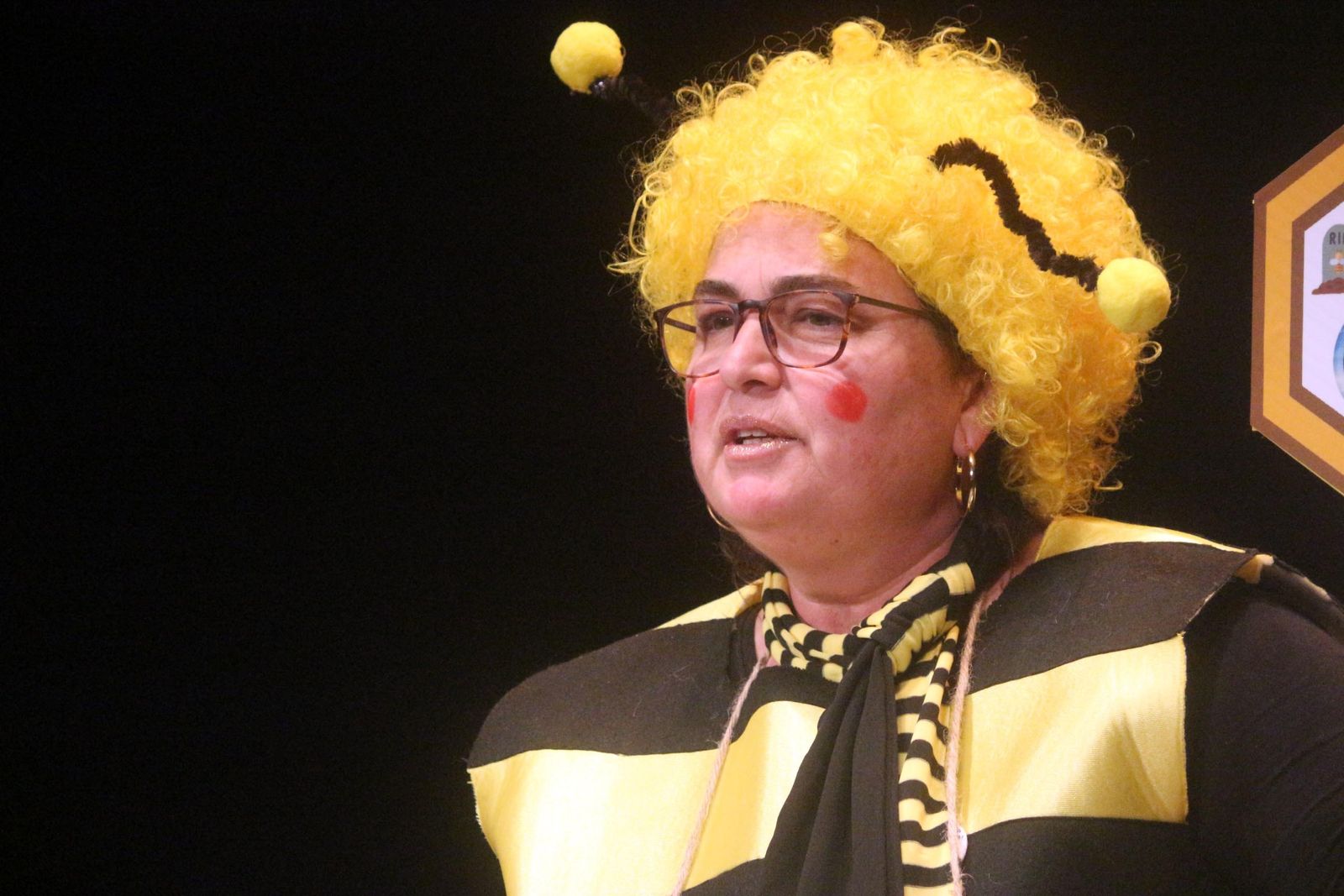 Romancero 'Vaya con la Abeja Maya'