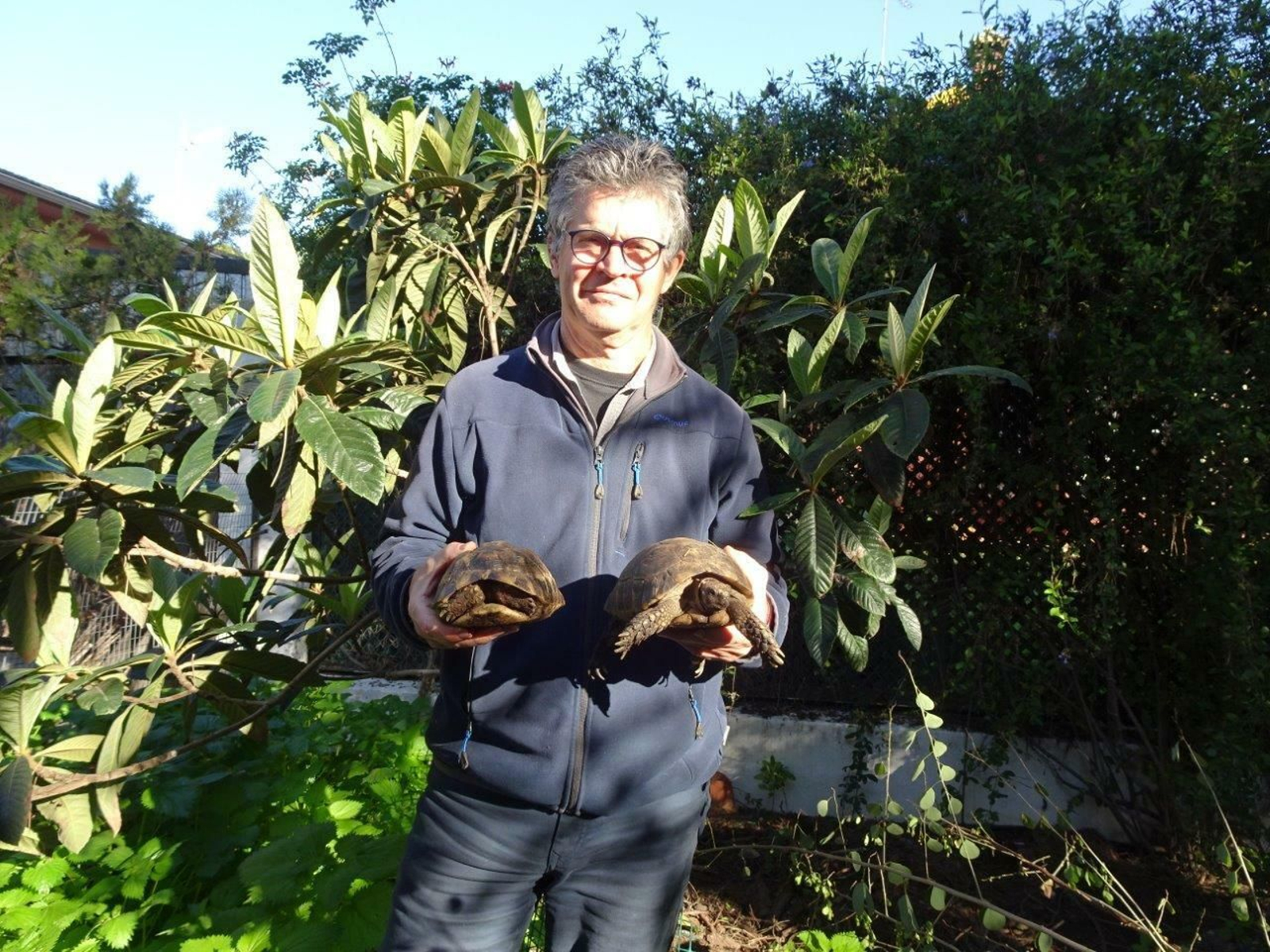 El ecologista Juan Clavero, junto a dos de los ejemplares de tortuga mora. El ecologista Juan Clavero, junto a dos de los ejemplares de tortuga mora.