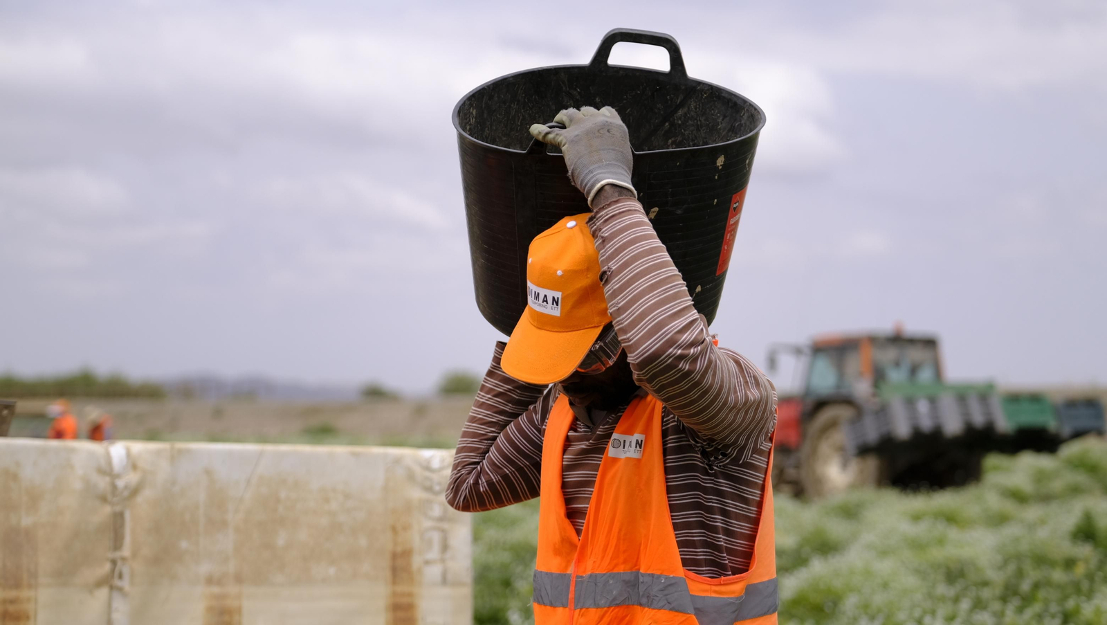 La sandía y el melón de Huércal Overa, manjares en imágenes