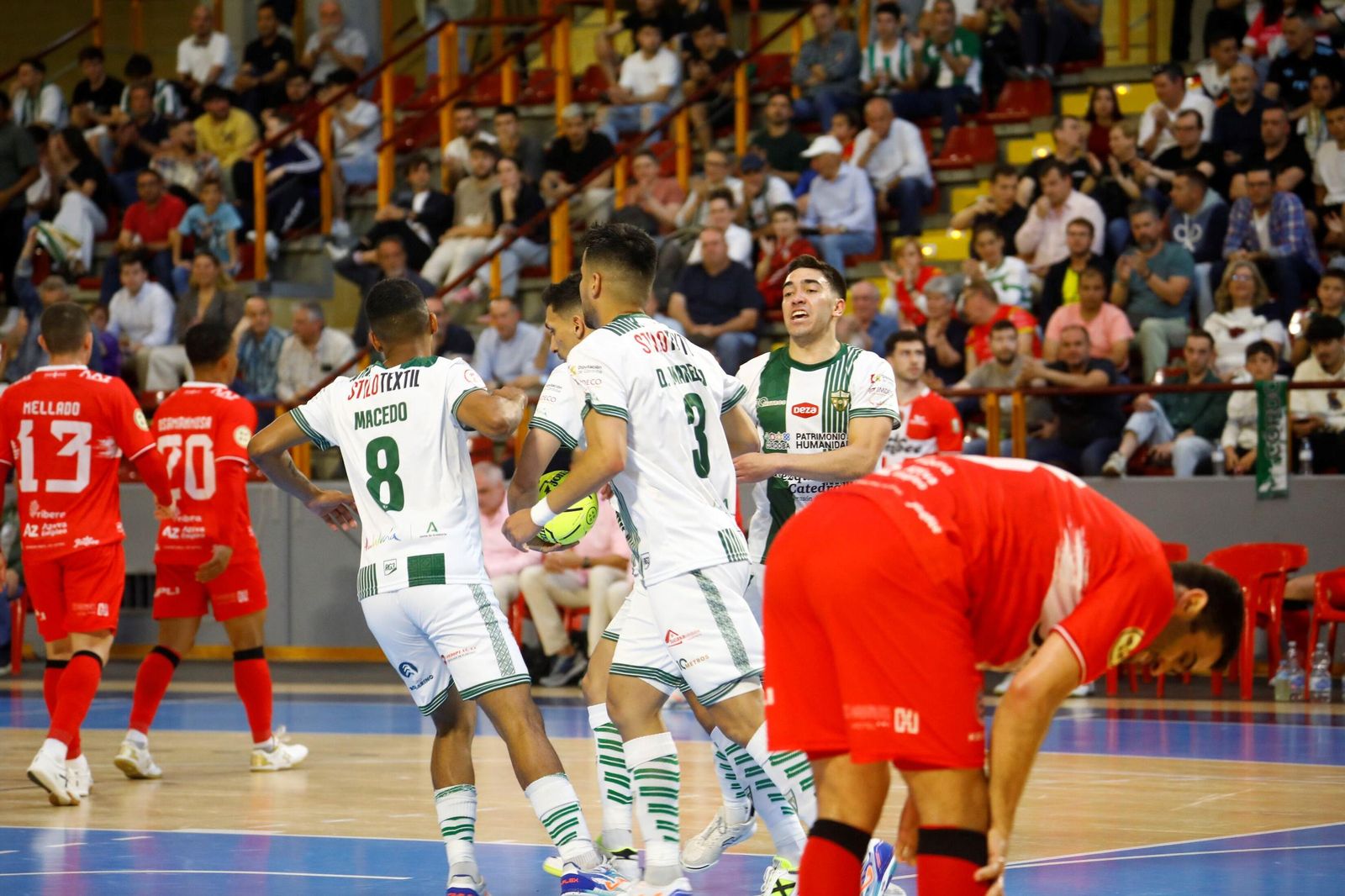 Las mejores fotos del ambiente en Vista Alegre para el Córdoba Futsal - Jimbee Cartagena