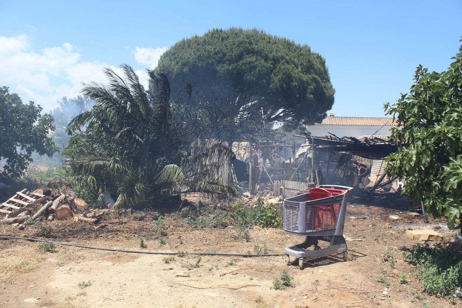 El incendio en el pinar de Roche, en imágenes