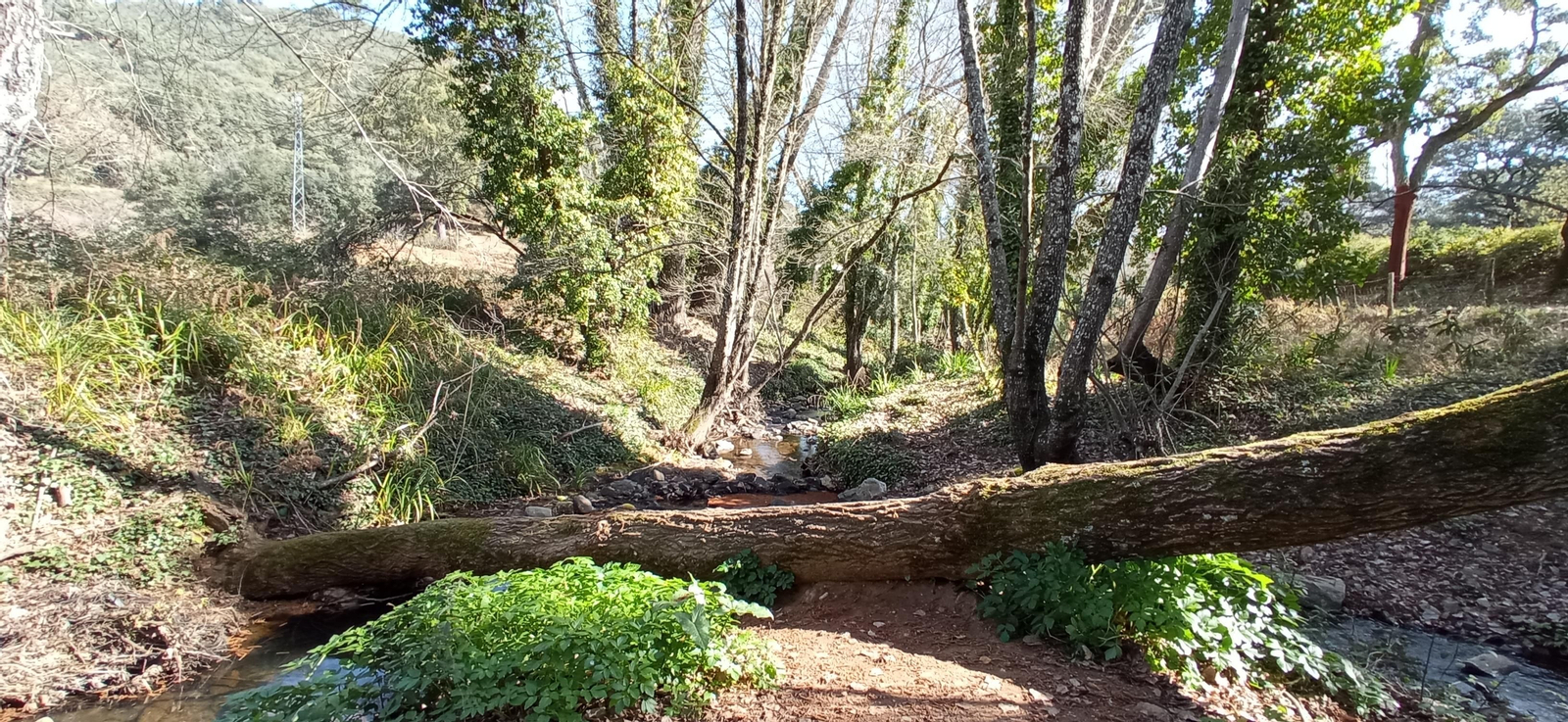 Las imágenes de la ruta de la cascada de Jollarancos y bosque de las letras