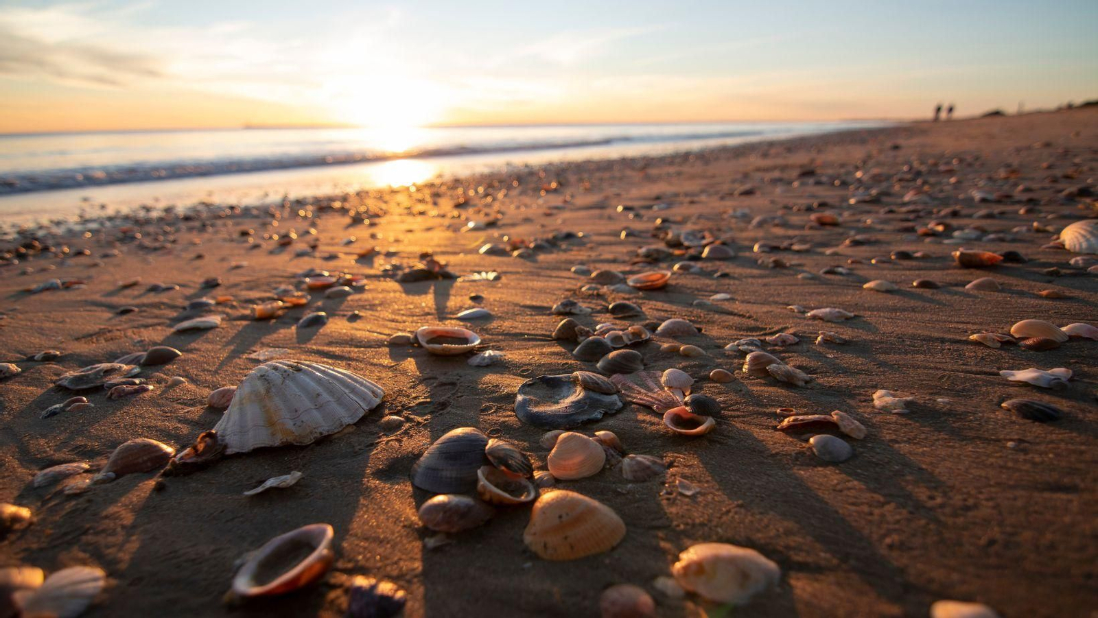 Paraísos naturales y tranquilos en la costa onubense