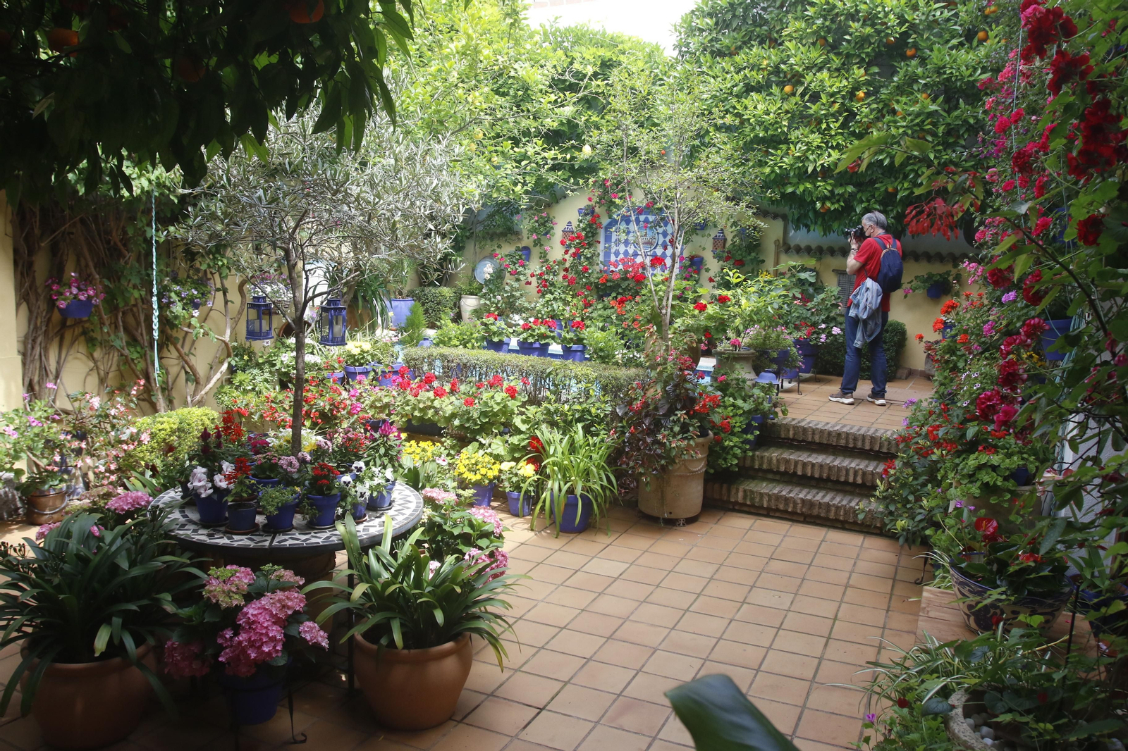 Ruta Regina - Realejo de los Patios de Córdoba, en imágenes
