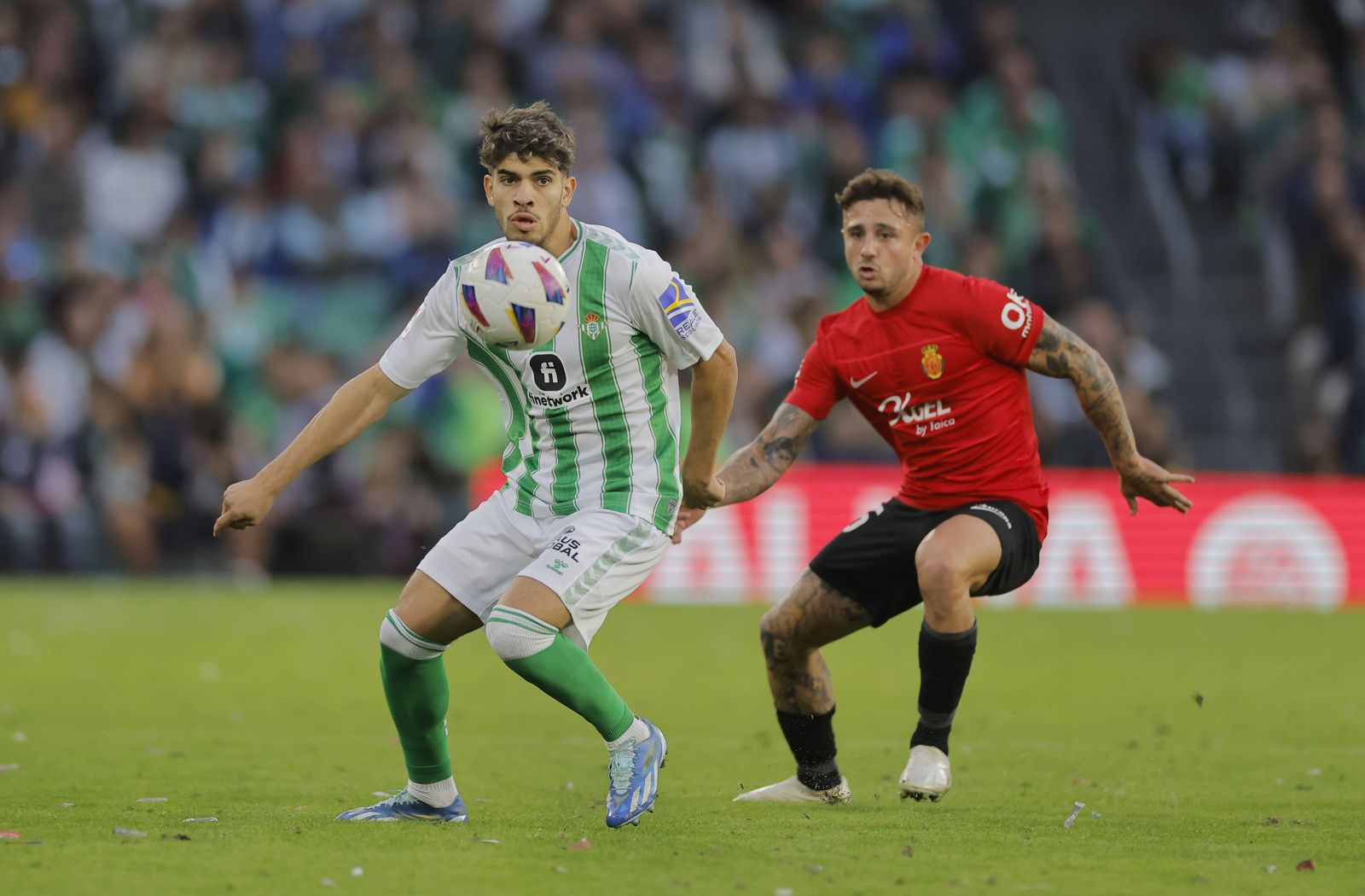Las fotos del Betis-Mallorca