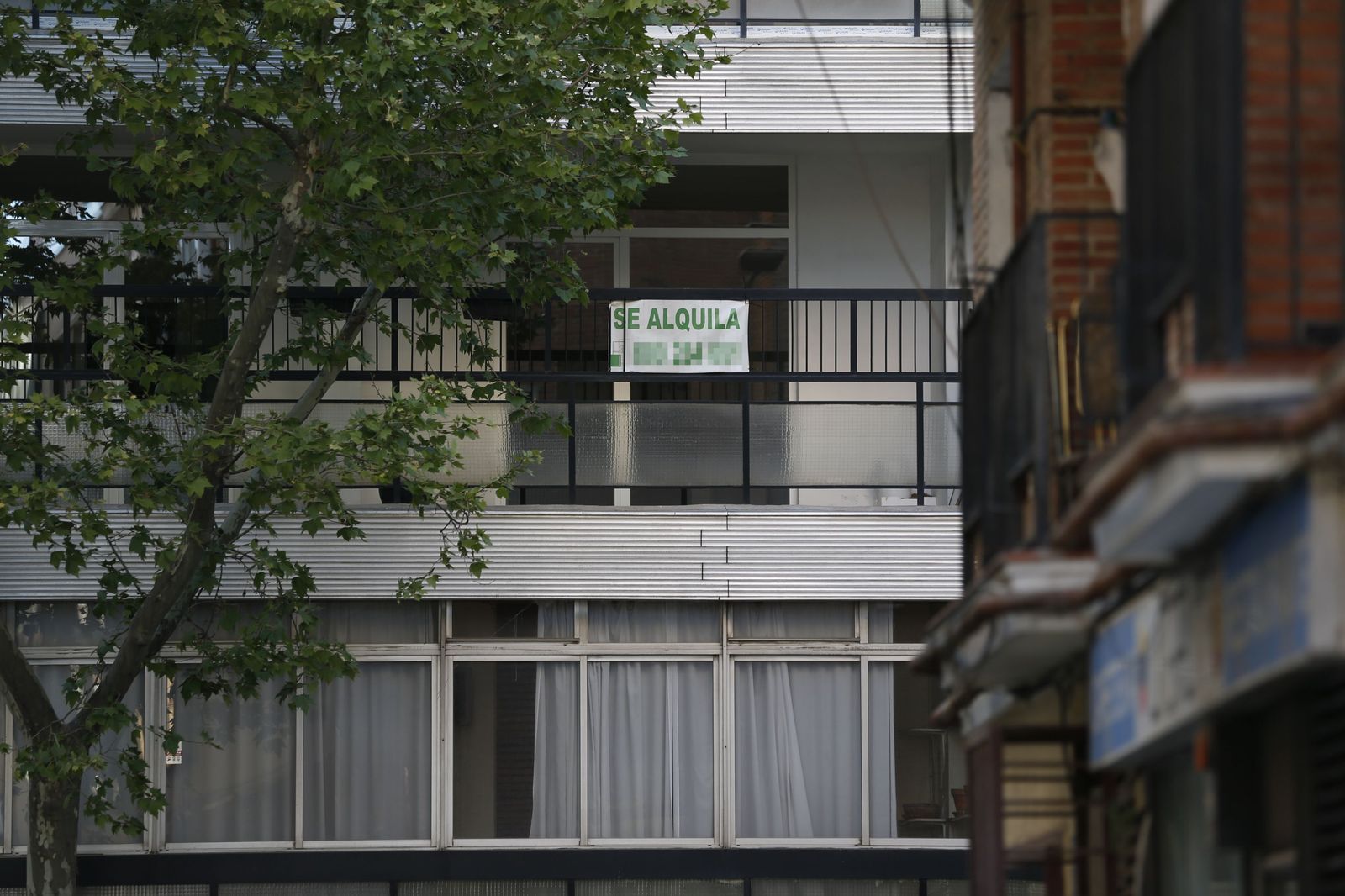 Vista de los carteles de alquiler en un piso de Madrid esta semana.