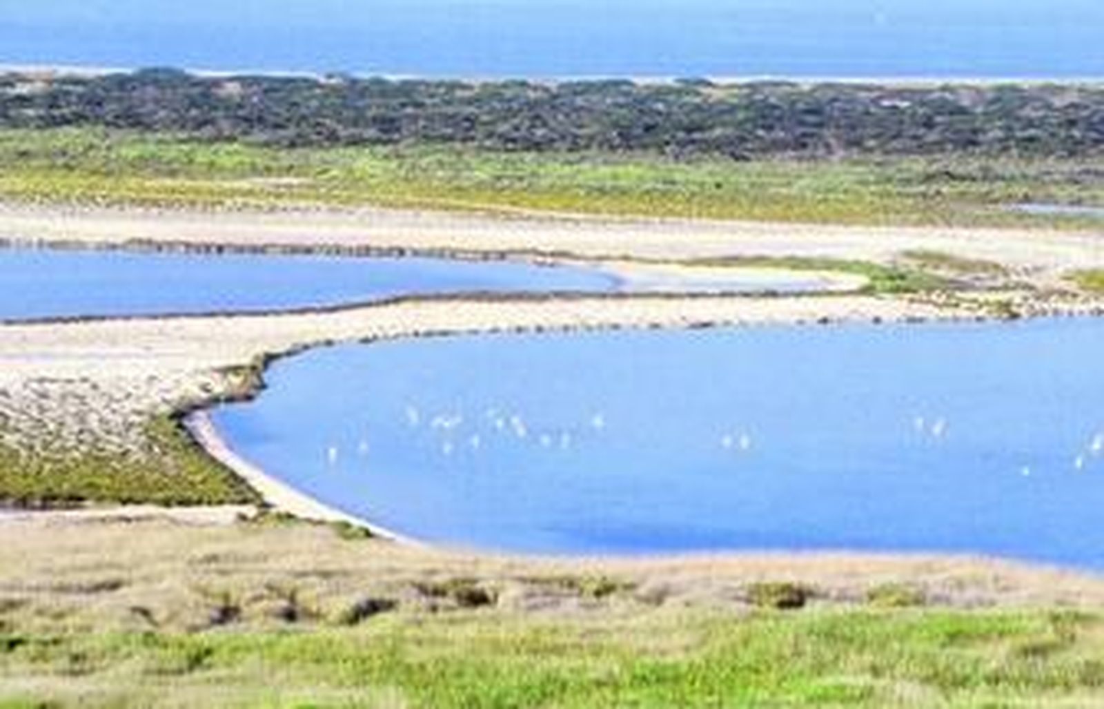 El Ejido lindando con las olas: pescadores de Balerma