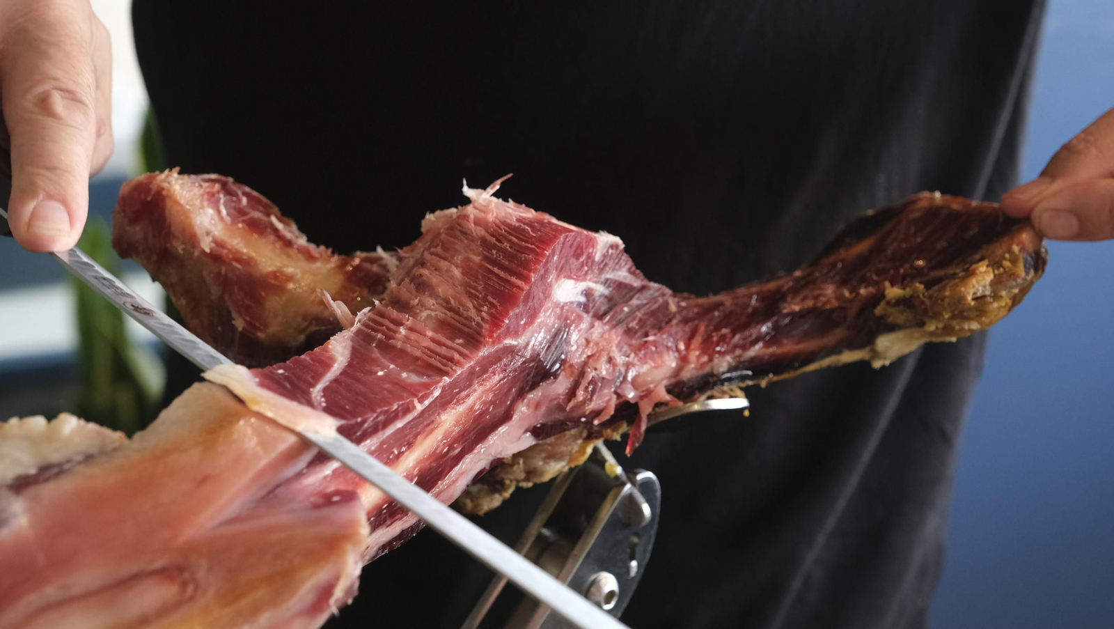 Las mejores imágenes de la feria del mediodía 2025 en Almería