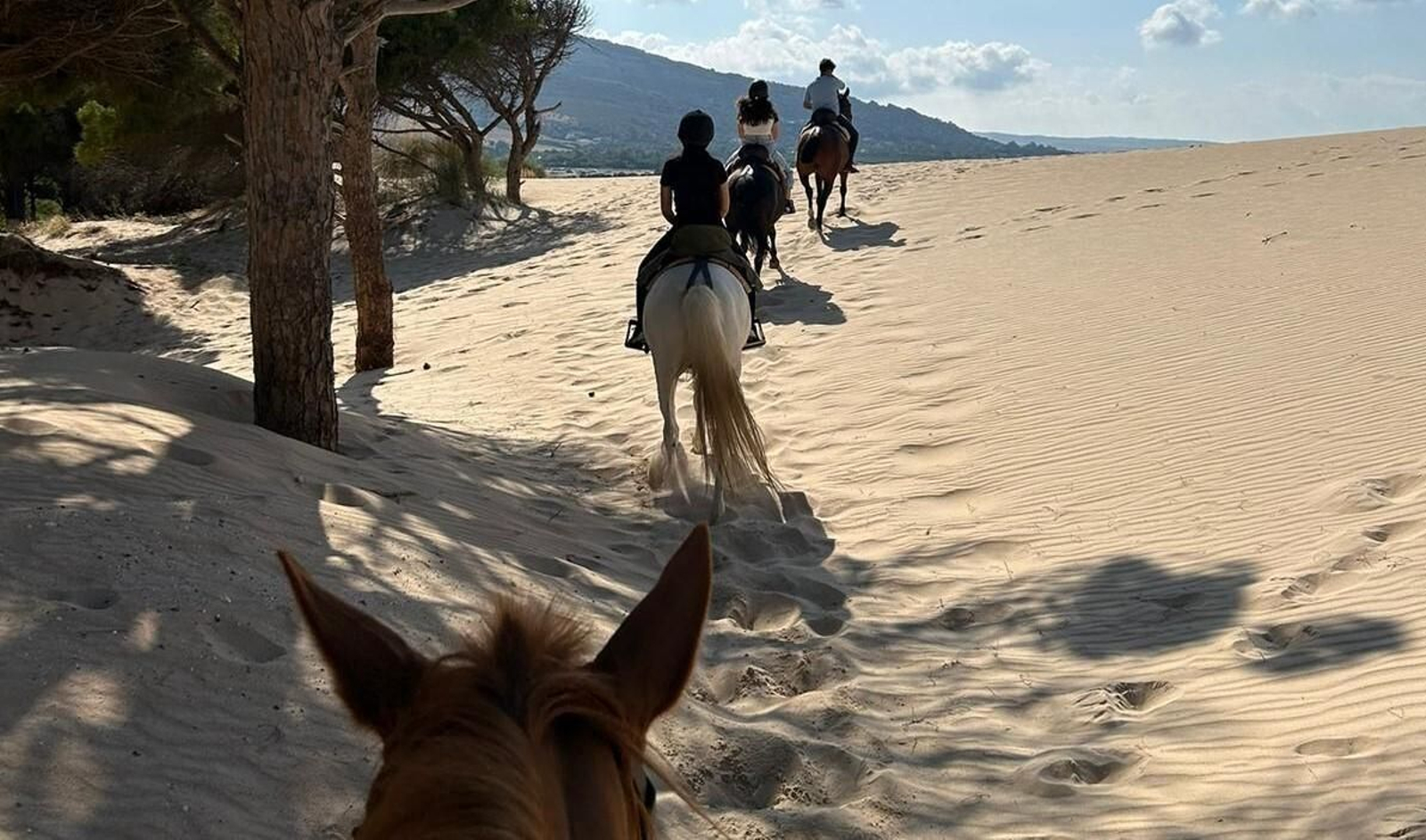 Ruta a caballo por la playa.