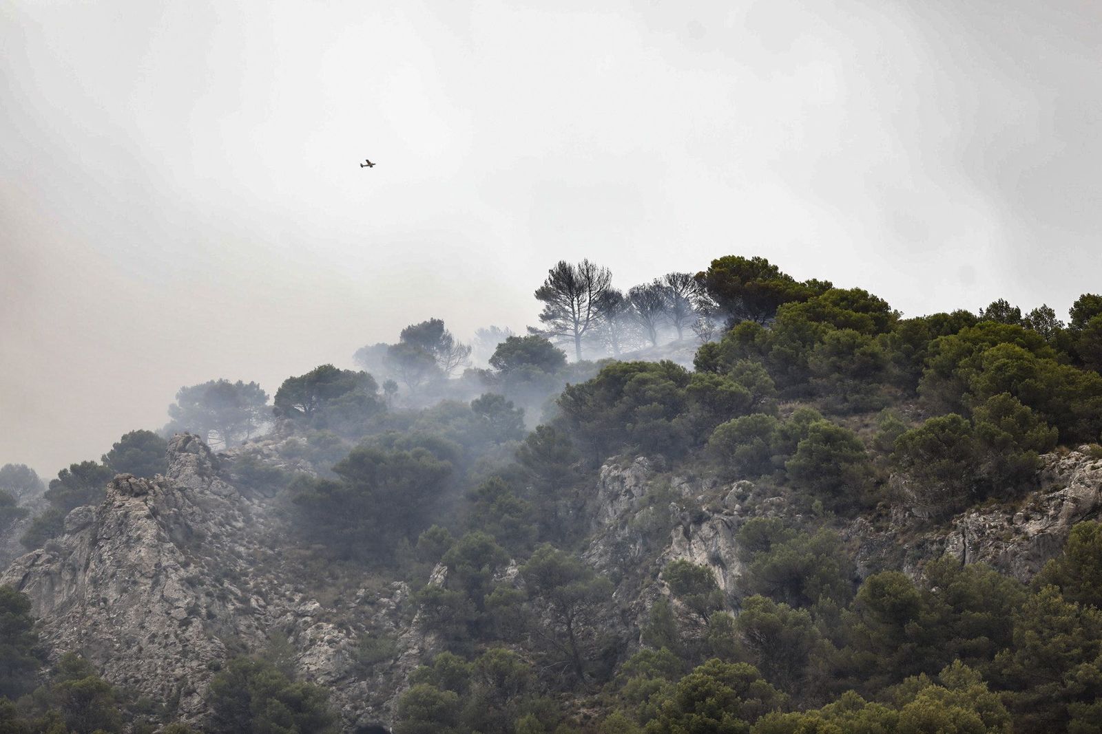 Así trabaja el Infoca en la extinción del incendio provocado por un rayo en Nívar