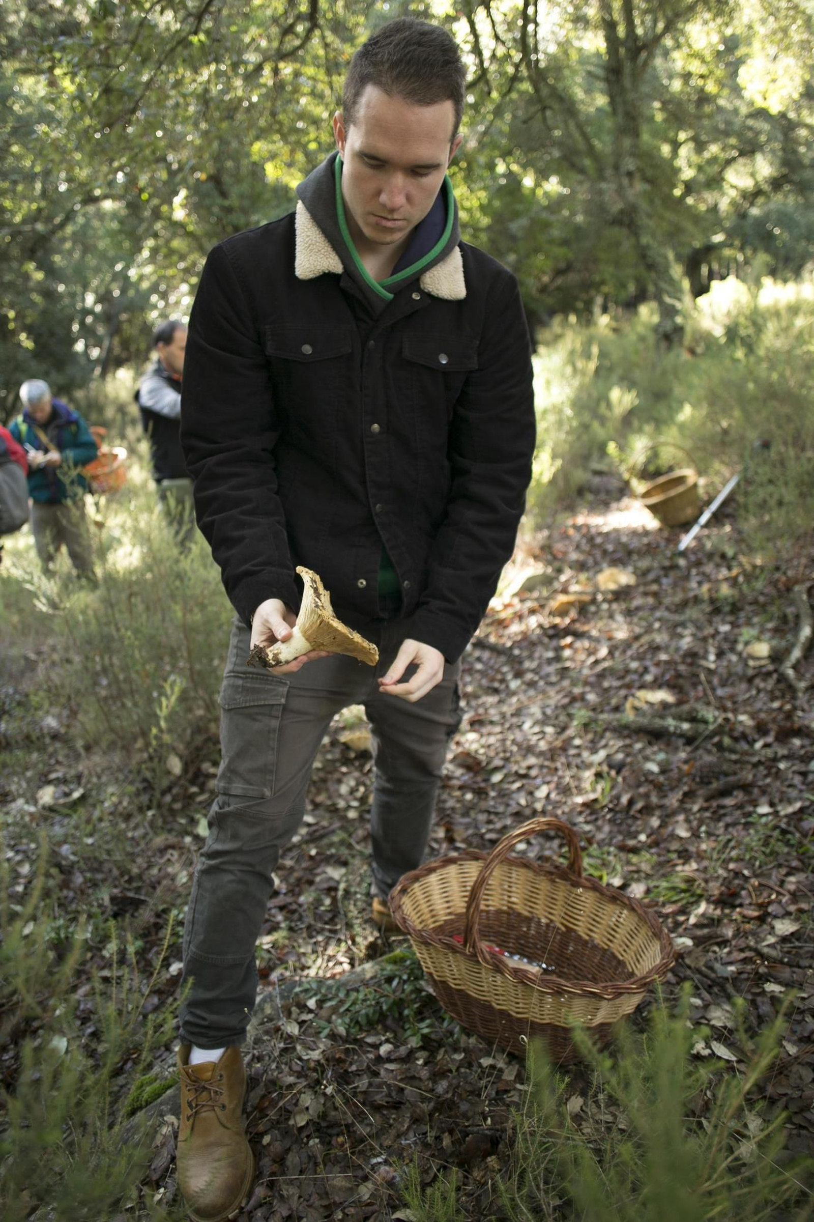 La Serranía de Ronda, joya de la micología