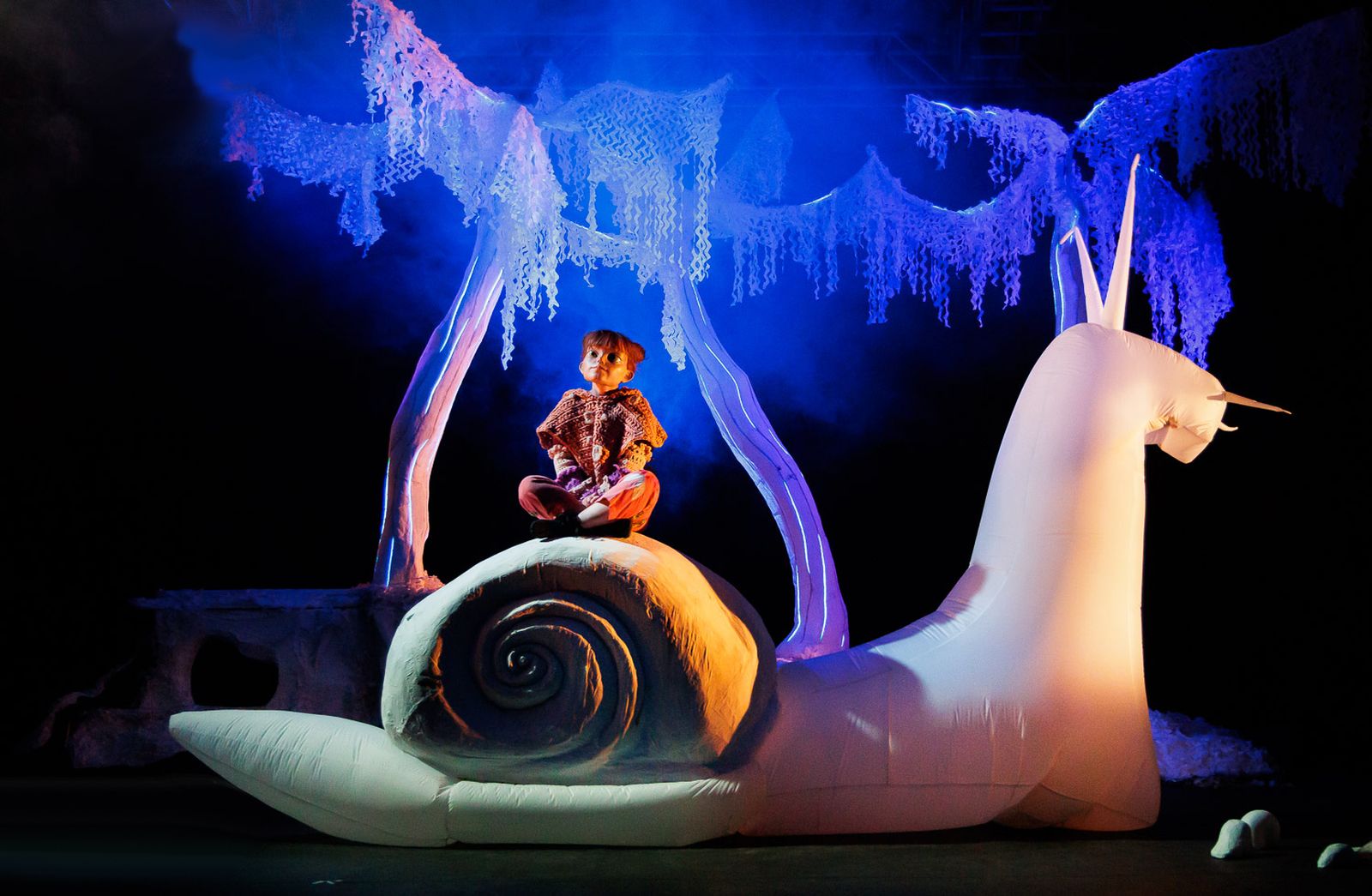 Una imagen de la belleza plástica de 'El bosque de Coco'