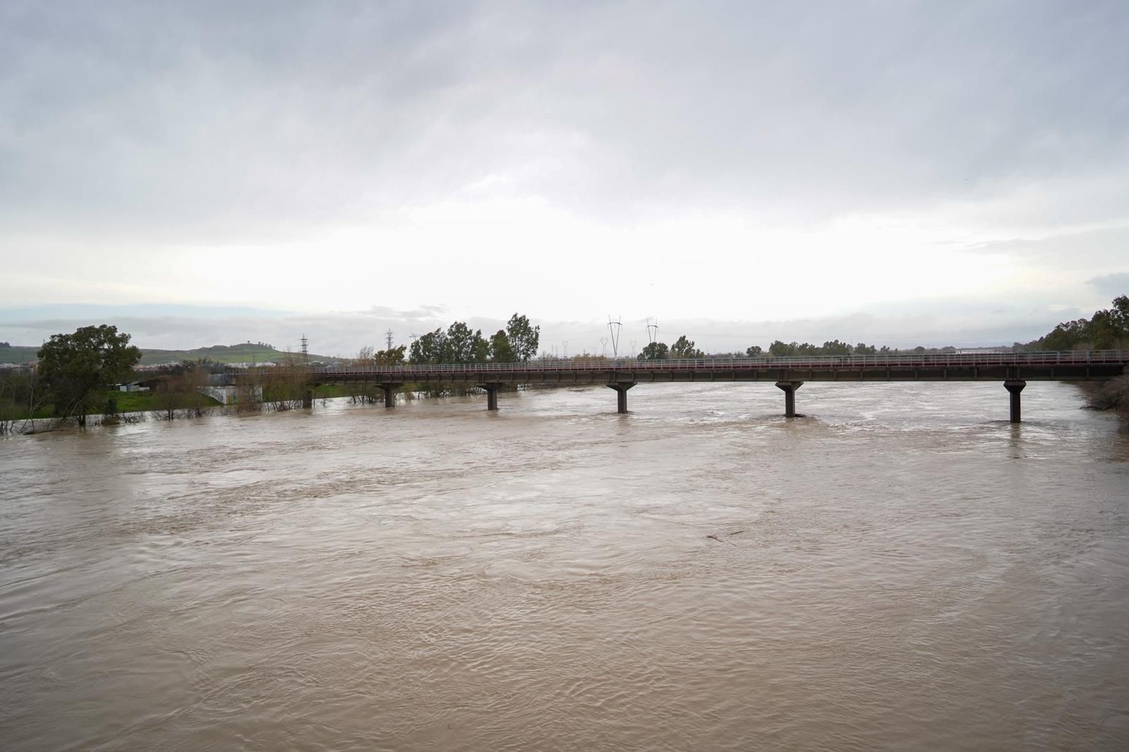 Así pasa el río Guadalquivir por Sevilla este sábado