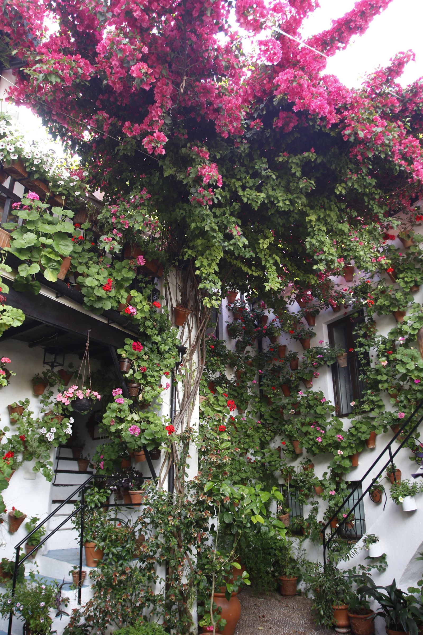 Las fotos de los patios en tiempos de crisis