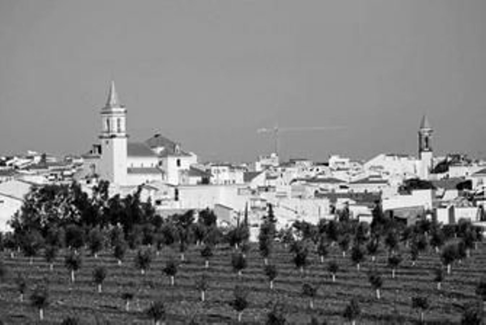Panorámica de Gibraleón, cuya historia se refleja en estos documentos reales.