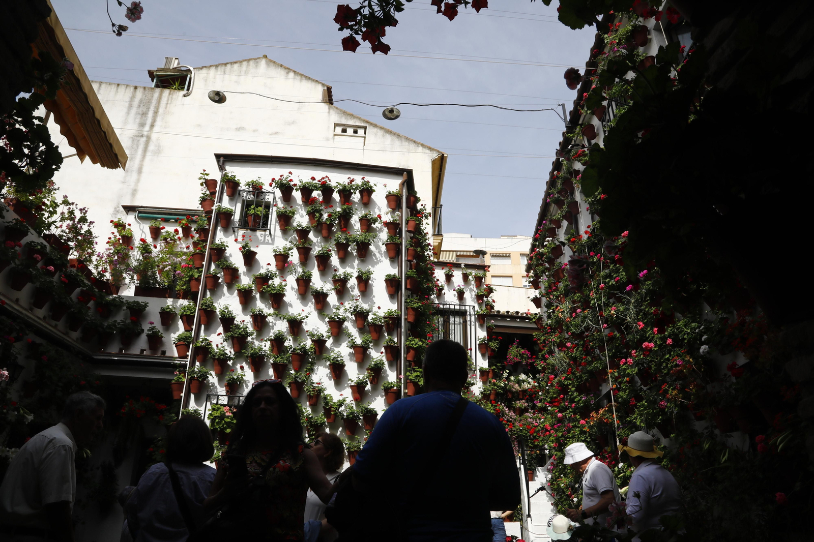 El primer día de Patios en Córdoba, en imágenes