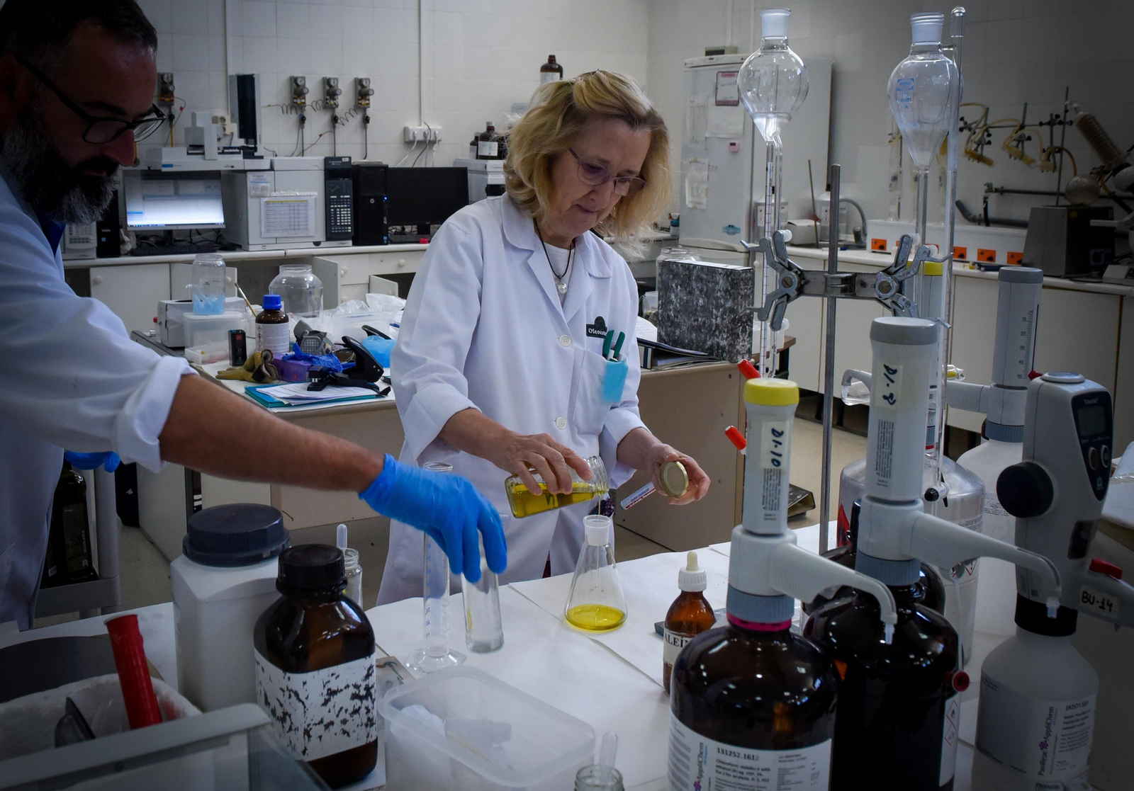 La sequía causa estragos en el olivar andaluz