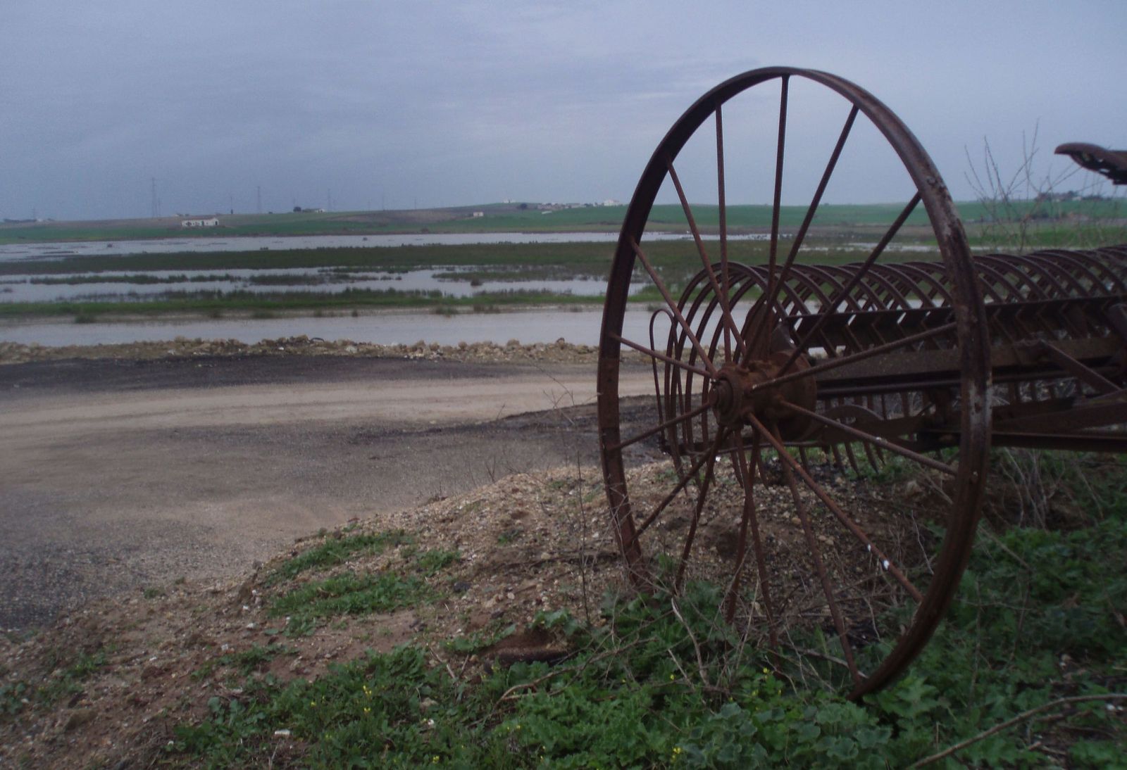 Aspecto de la laguna de Pozo Lozano, en El Puerto.