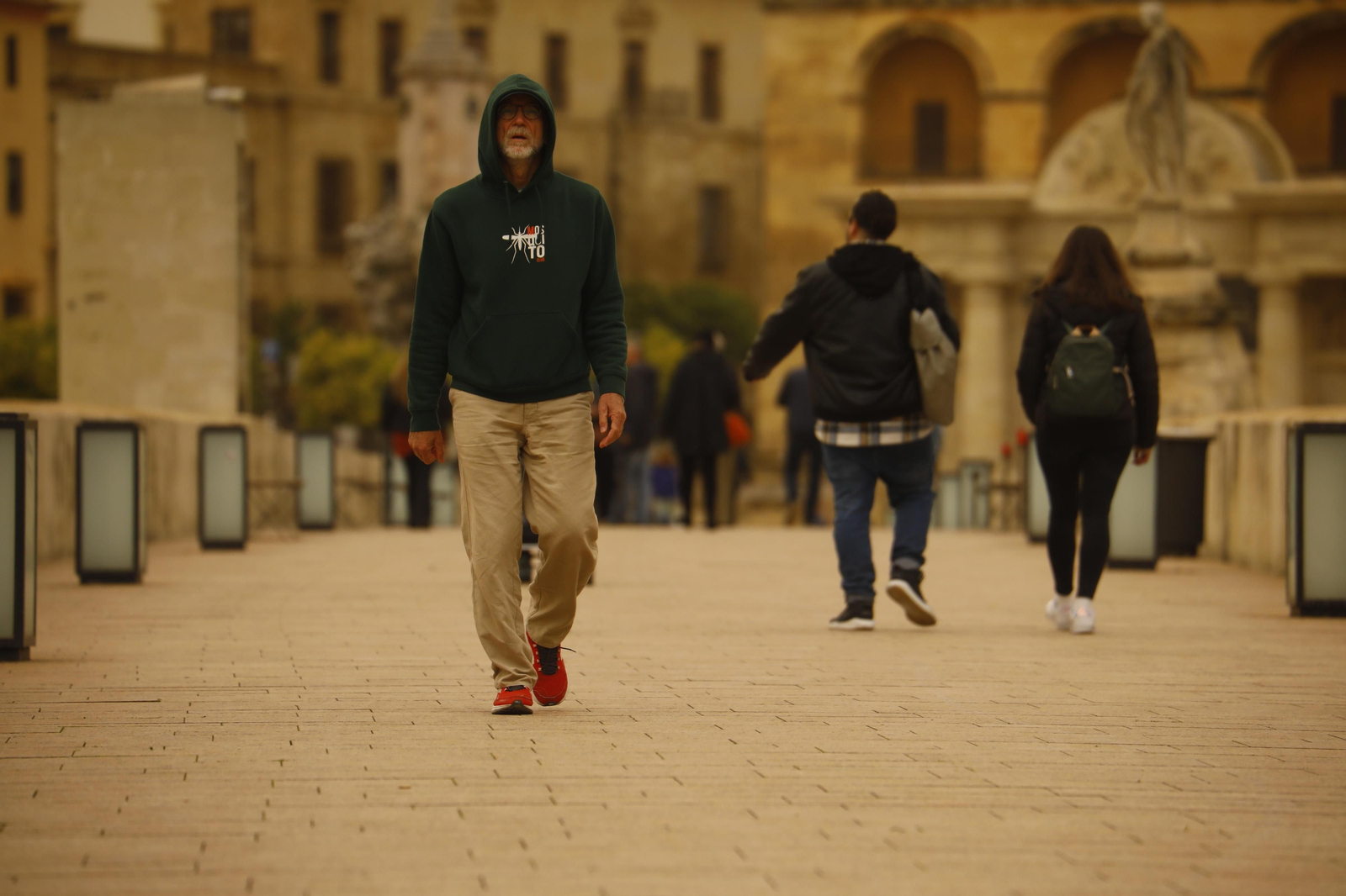 La calima llega a Córdoba, en imágenes