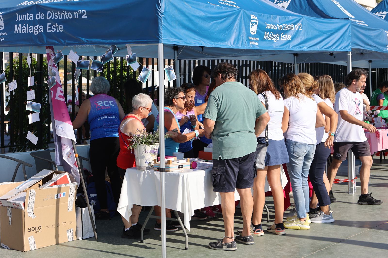 Más de 100 mujeres supervivientes de cáncer participan este sábado en una Regata Nacional en Málaga