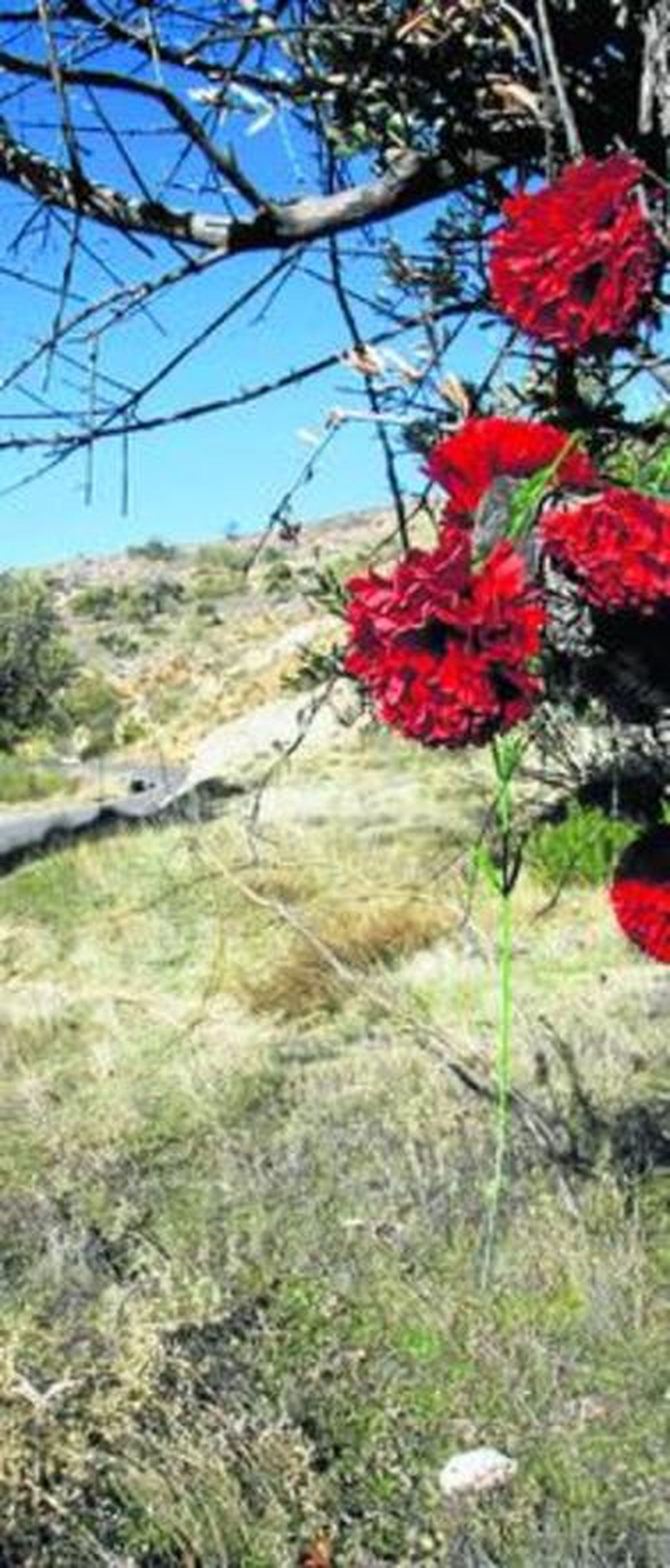 Comienza la segunda búsqueda de los restos del poeta en Peñón Colorado.