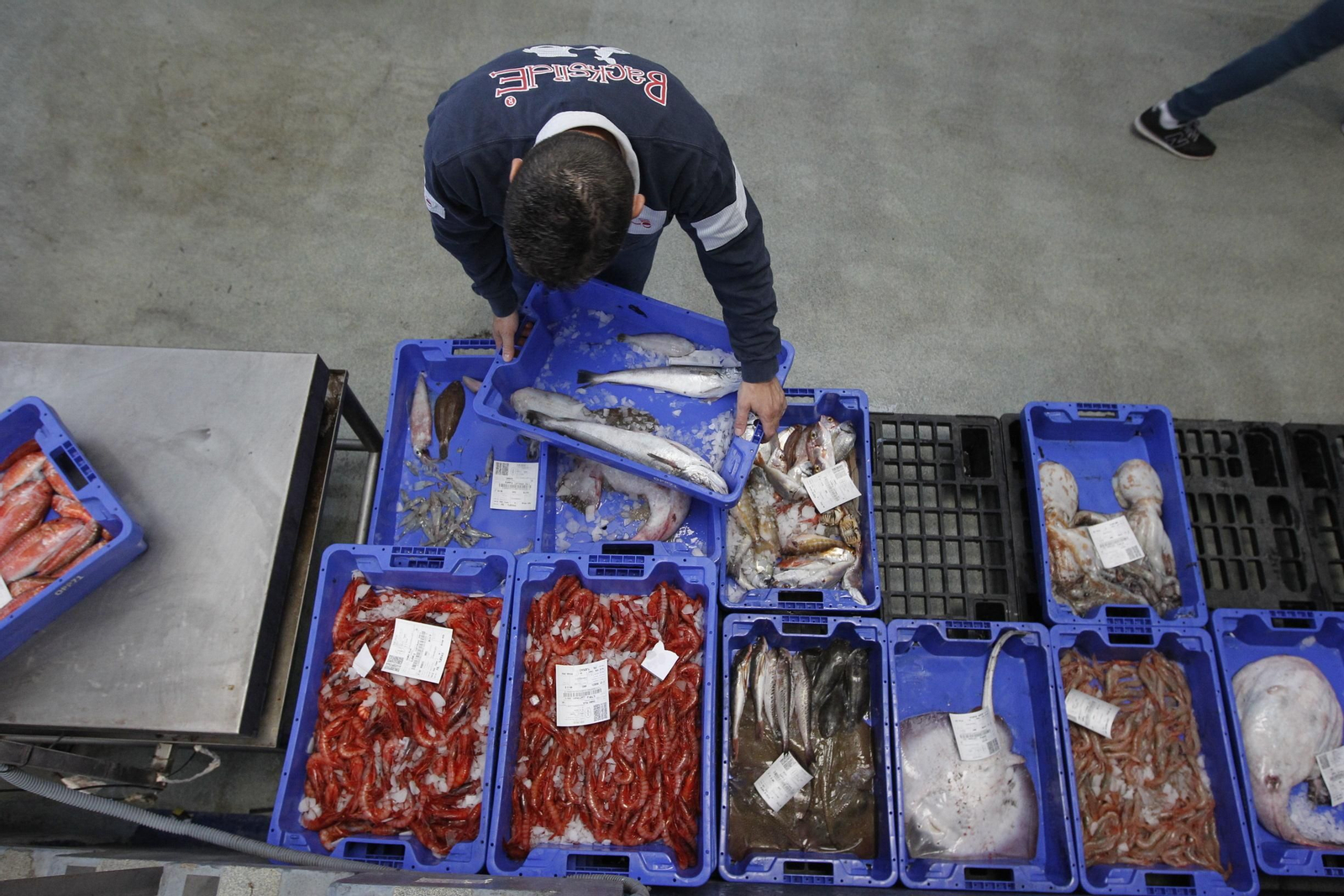 Preparando subasta en la lonja de Almería capital
