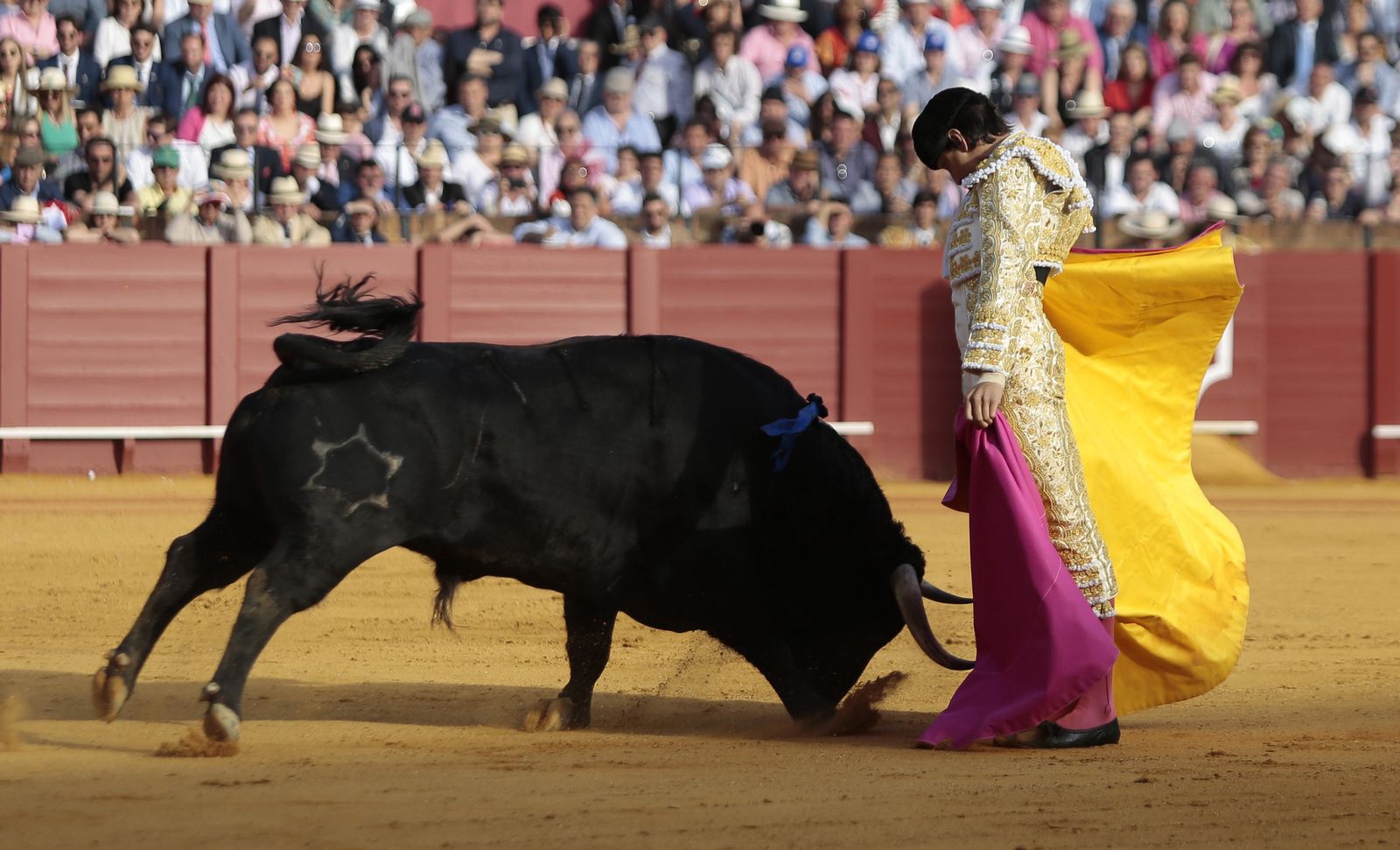 Las imágenes de la undécima de abono de la Maestranza