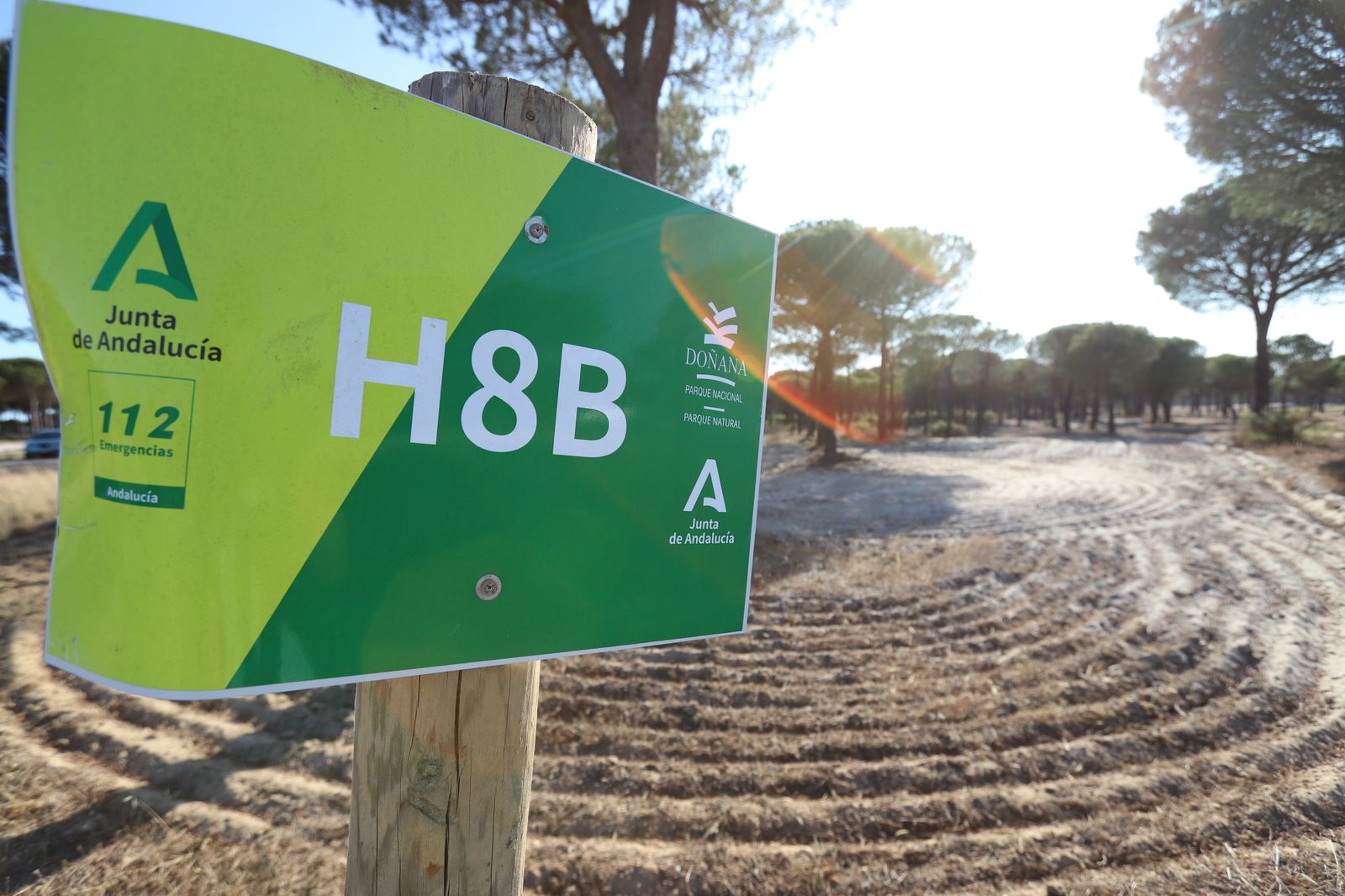 Imágenes del estado en el que se encuentran los caminos del Rocío para la Romería 2023