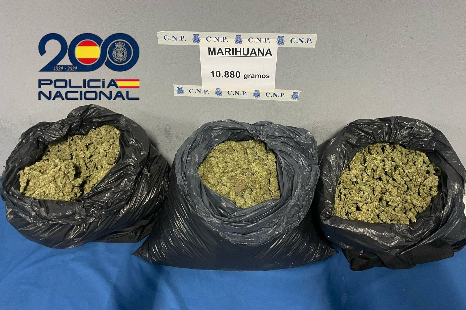 Los más de diez kilos de marihuana intervenidos al conductor en Jerez de la Frontera
