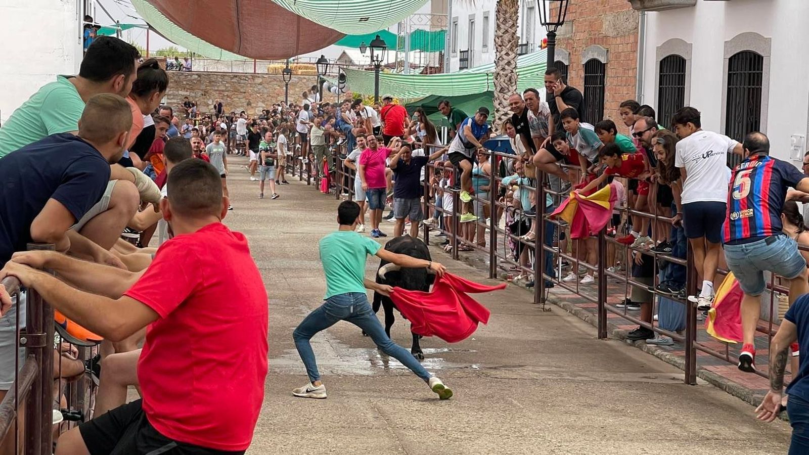 El encierro taurino de Dos Torres por San Roque, en imágenes