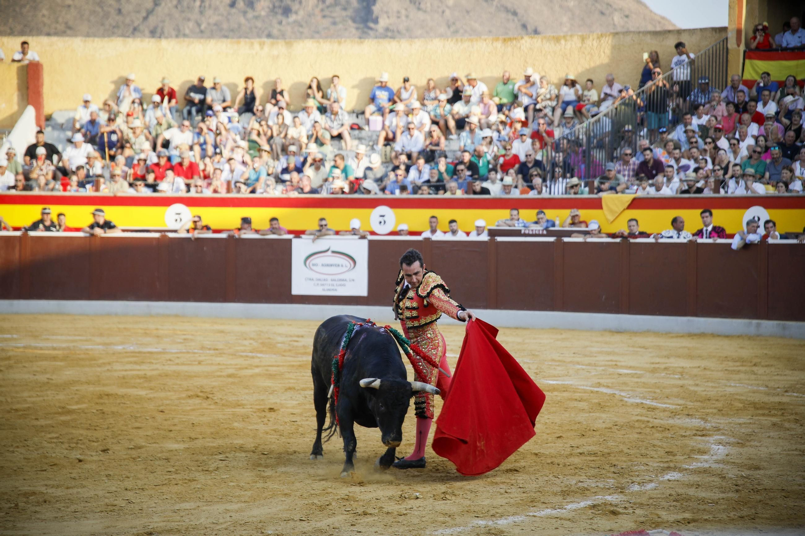 Corrida de toros Berja con un toro indultado, en imágenes